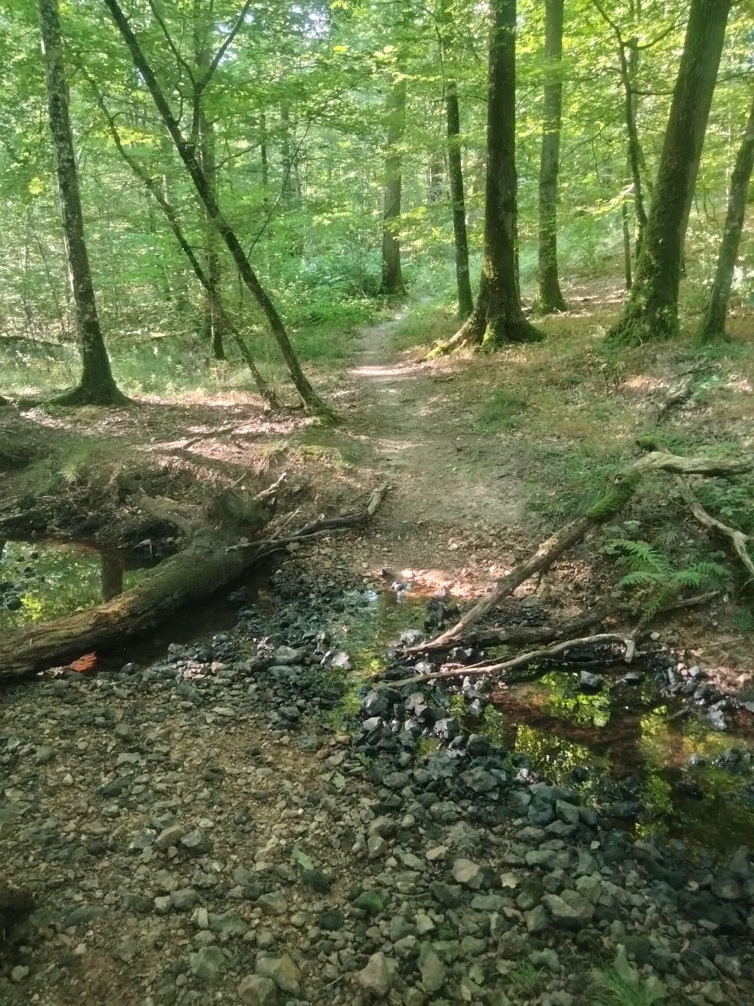 Passage de Rivière 🤩