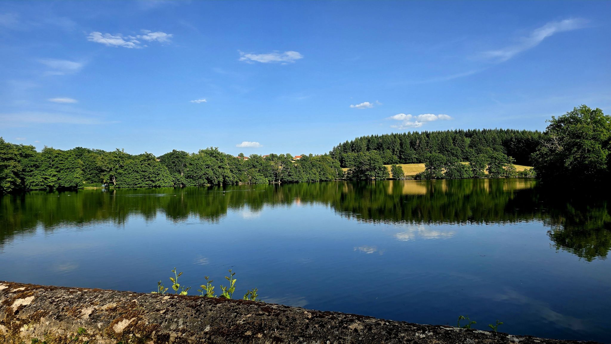 Etang de Marault (angelegt 1609)