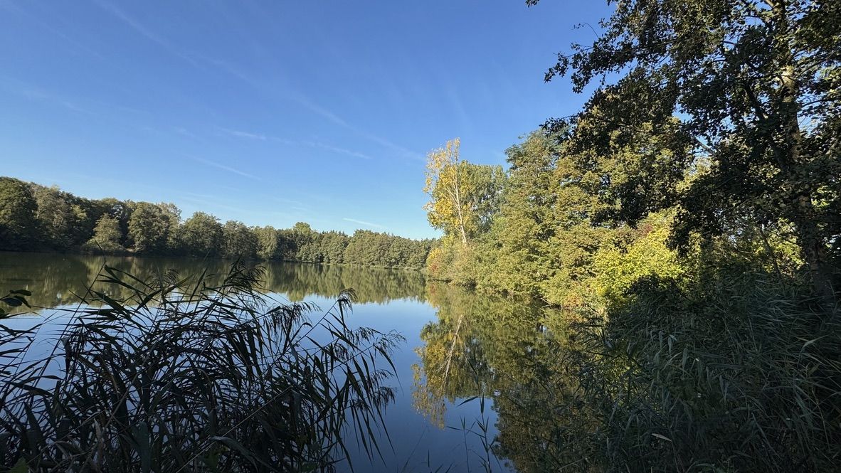 Heideweiher bei Reichertshofen