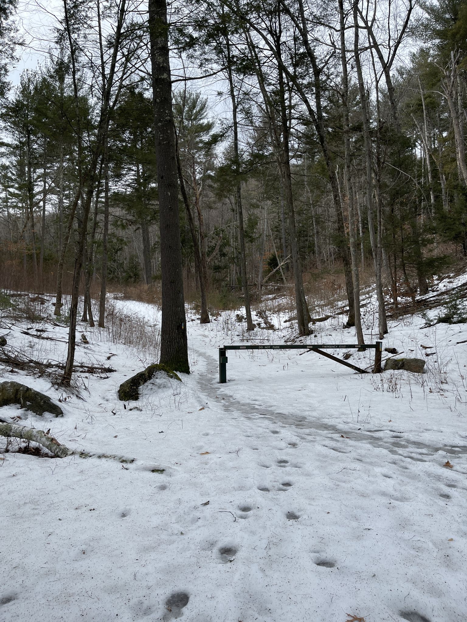 Snowy forest path with a closed gate and footprints on the ground. - Tunxis Trail