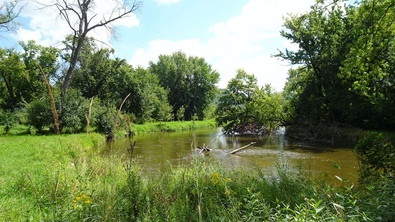 A calm river flows through a lush green forest on a sunny day. - Riverside Park – La Crosse Marsh loop from Bangor