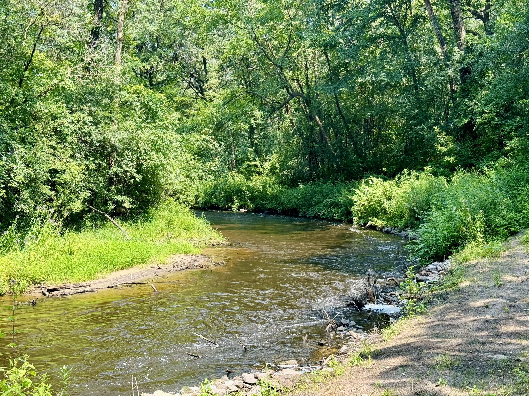 Rice Creek on its way to the Mississippi River