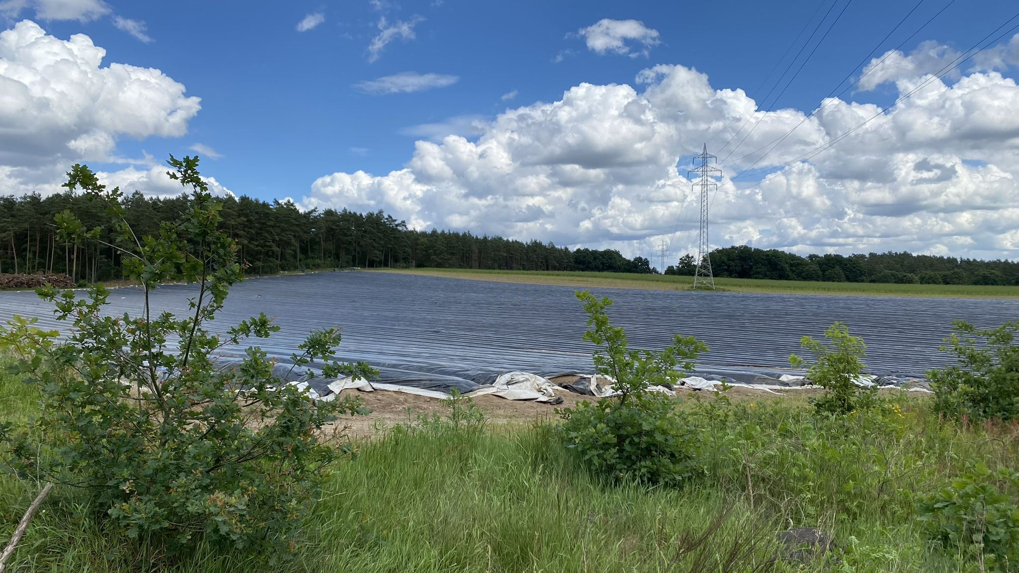 Spargelsee
