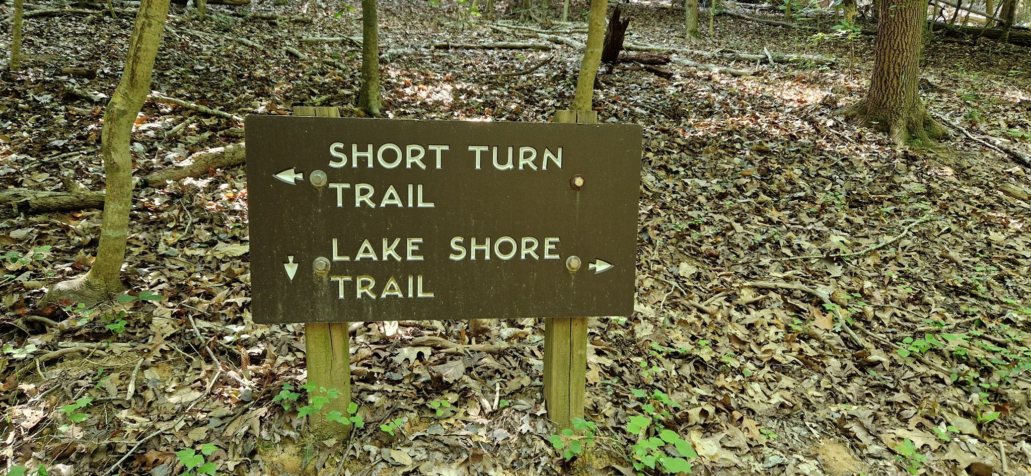 Brown wooden trail sign with arrows pointing to different paths in a forest. - Hawk Loop Trailhead – Park Lake loop from Lake Norman State Park