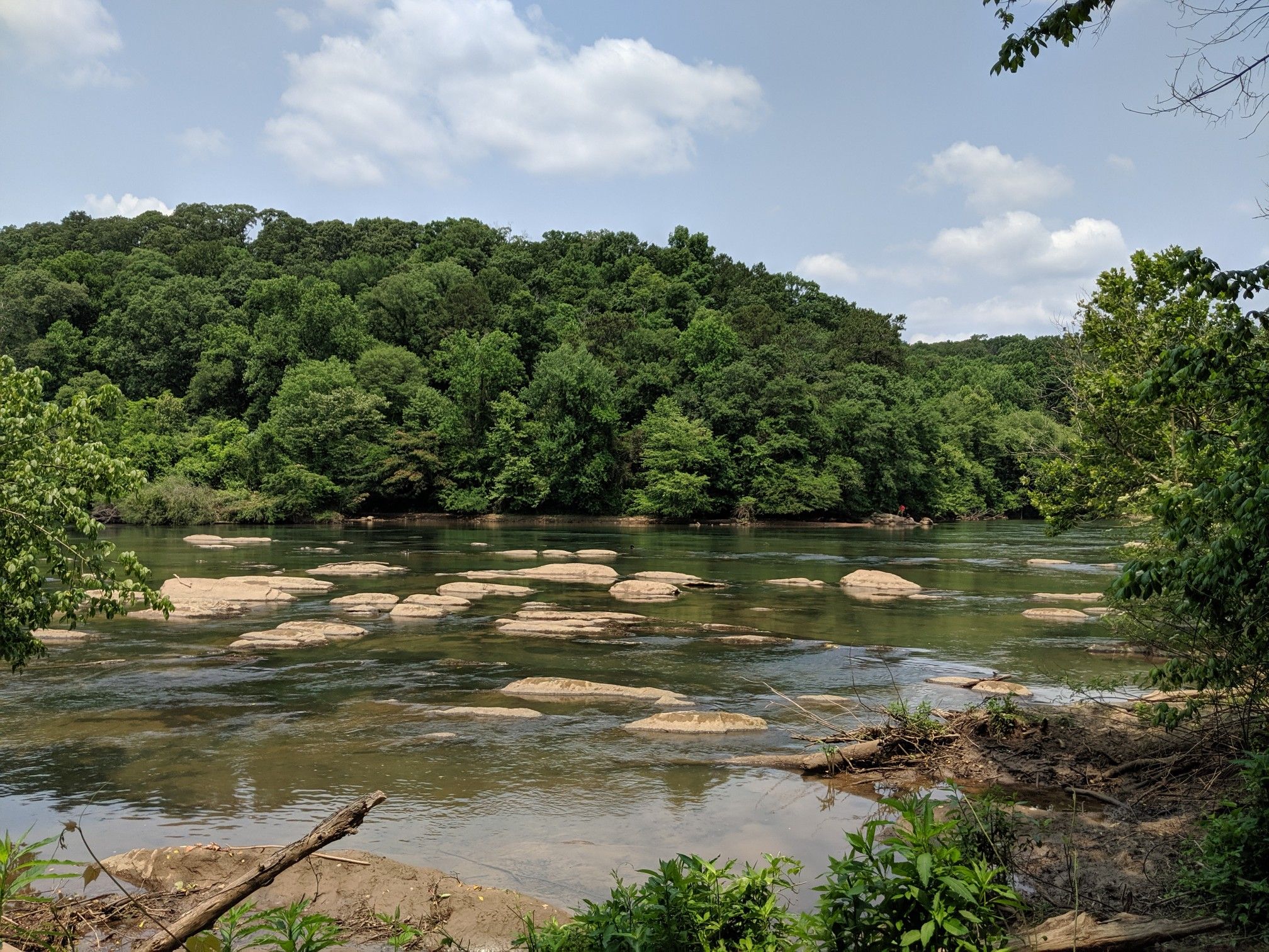 A wide river with many exposed rocks, surrounded by dense green forests. - Sweetwater Creek loop from EP 19