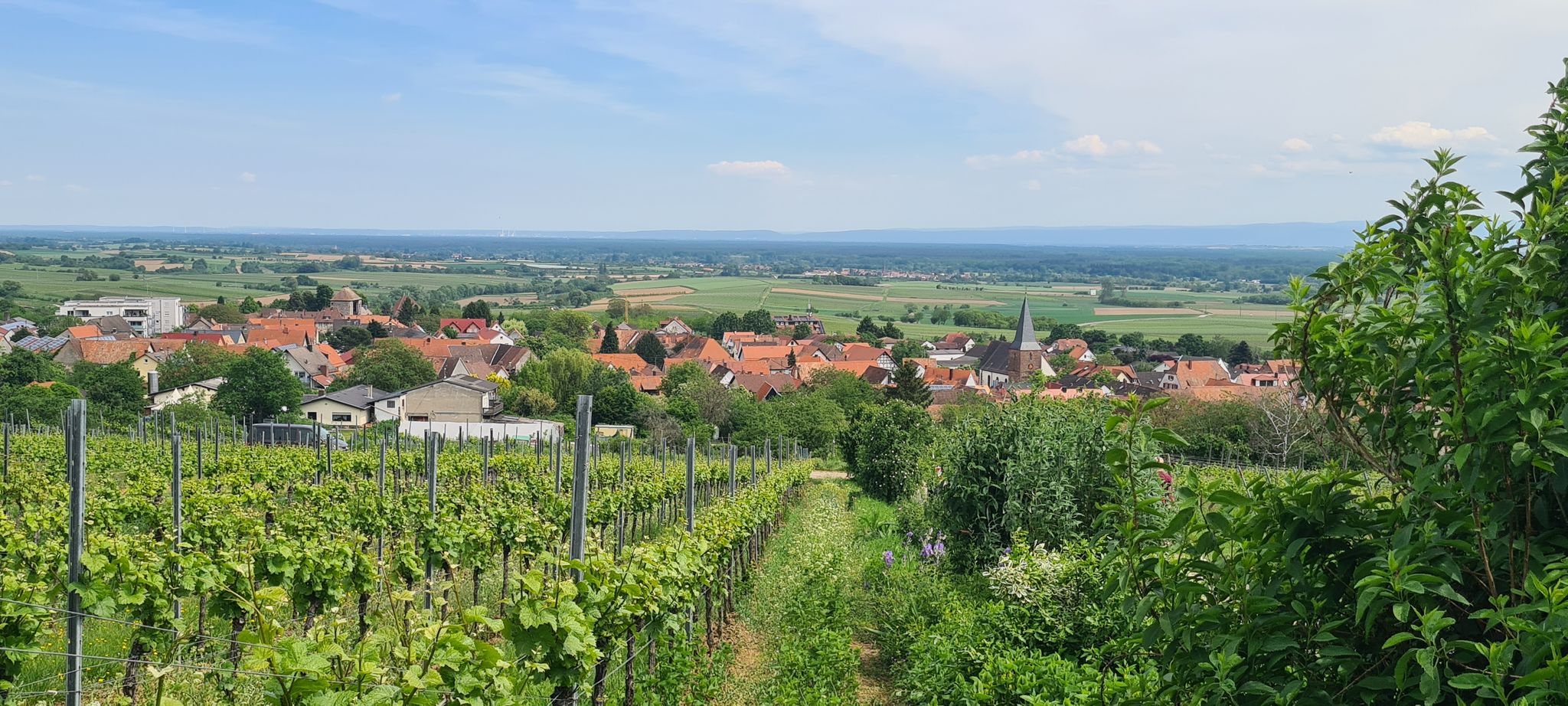 Blick vom Sonnenberg auf Schweigen