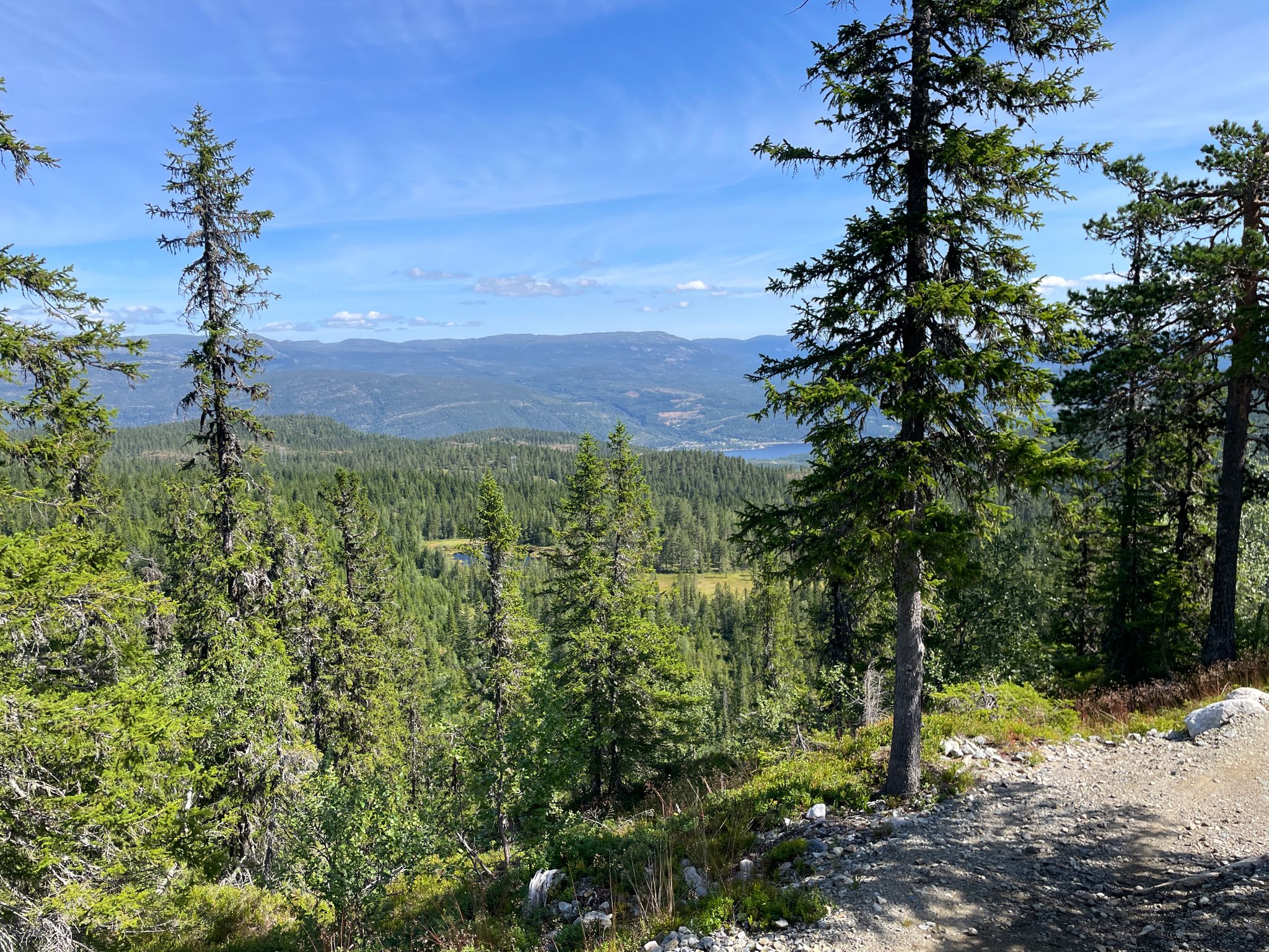 Ausblick ins Tal