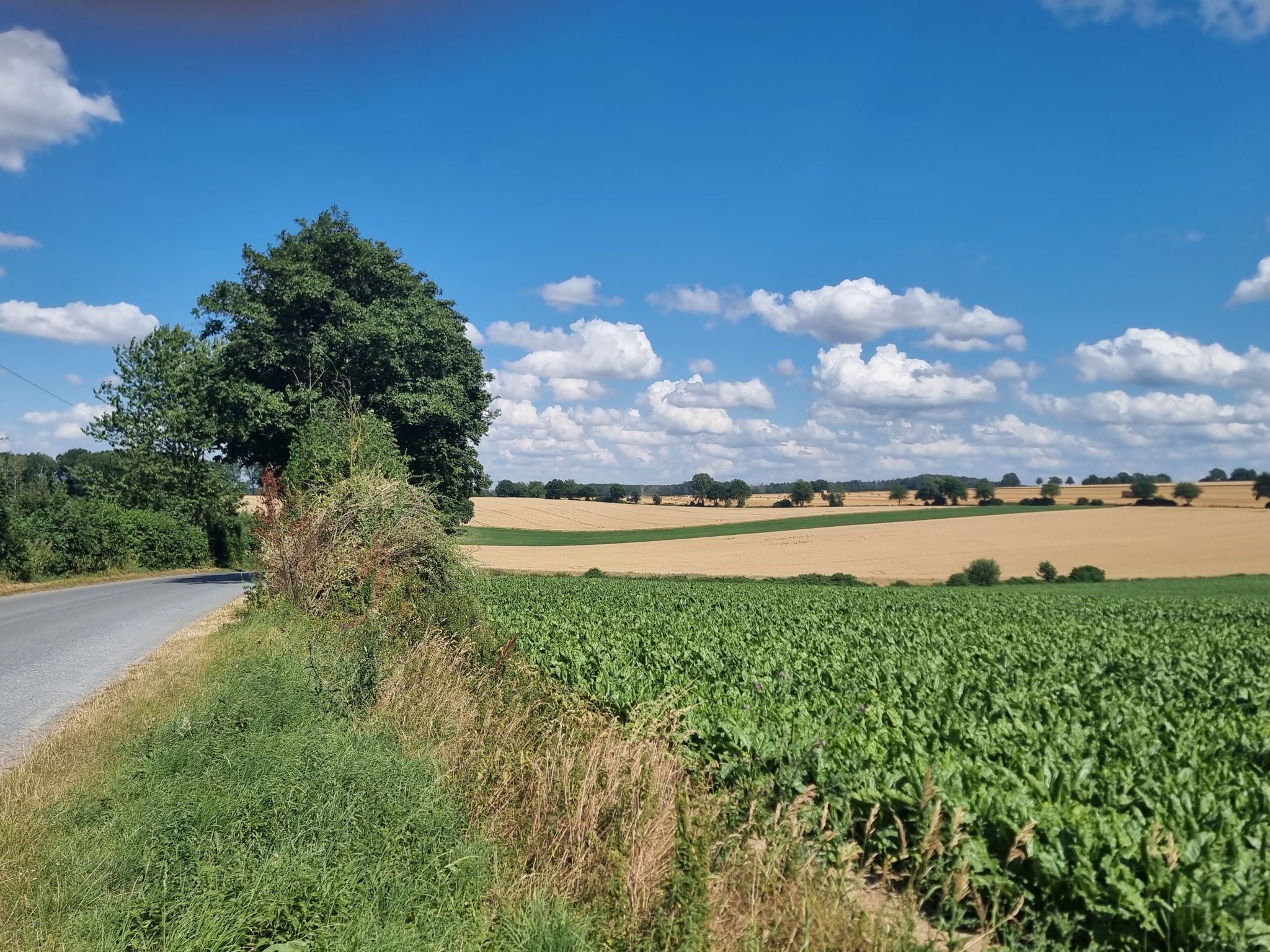 Vor Soest 