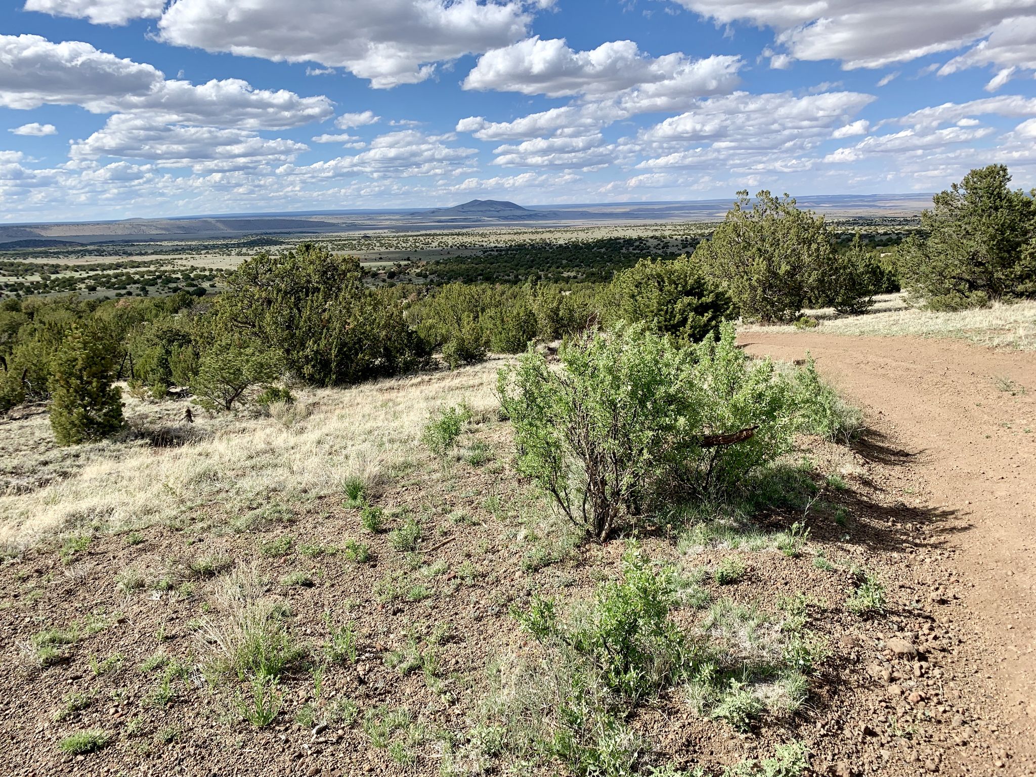Expansive dry landscape with scattered green trees under a cloudy blue sky. - Arizona Trail: Passage 34 - San Francisco Peaks