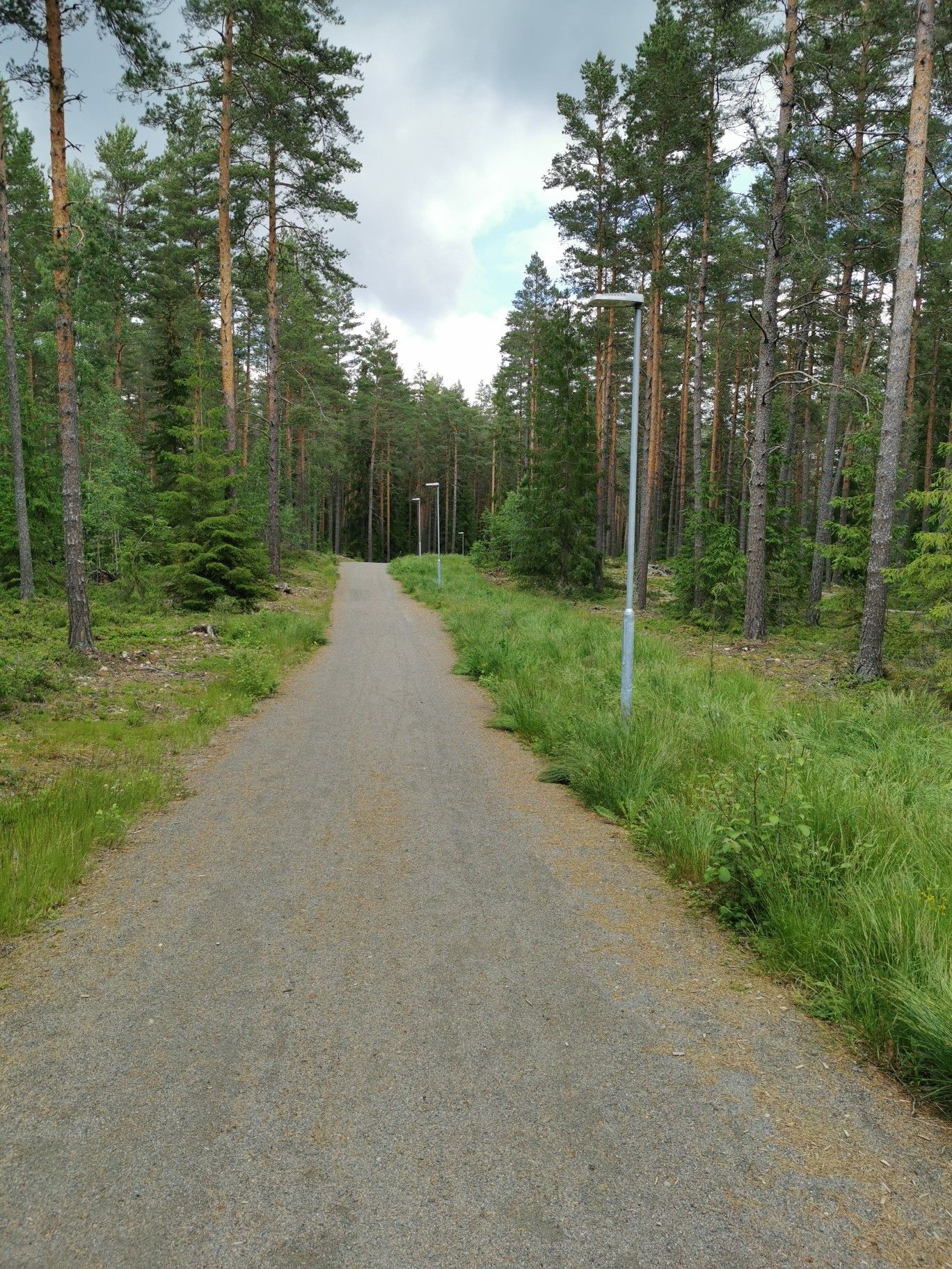 Single Trail? 