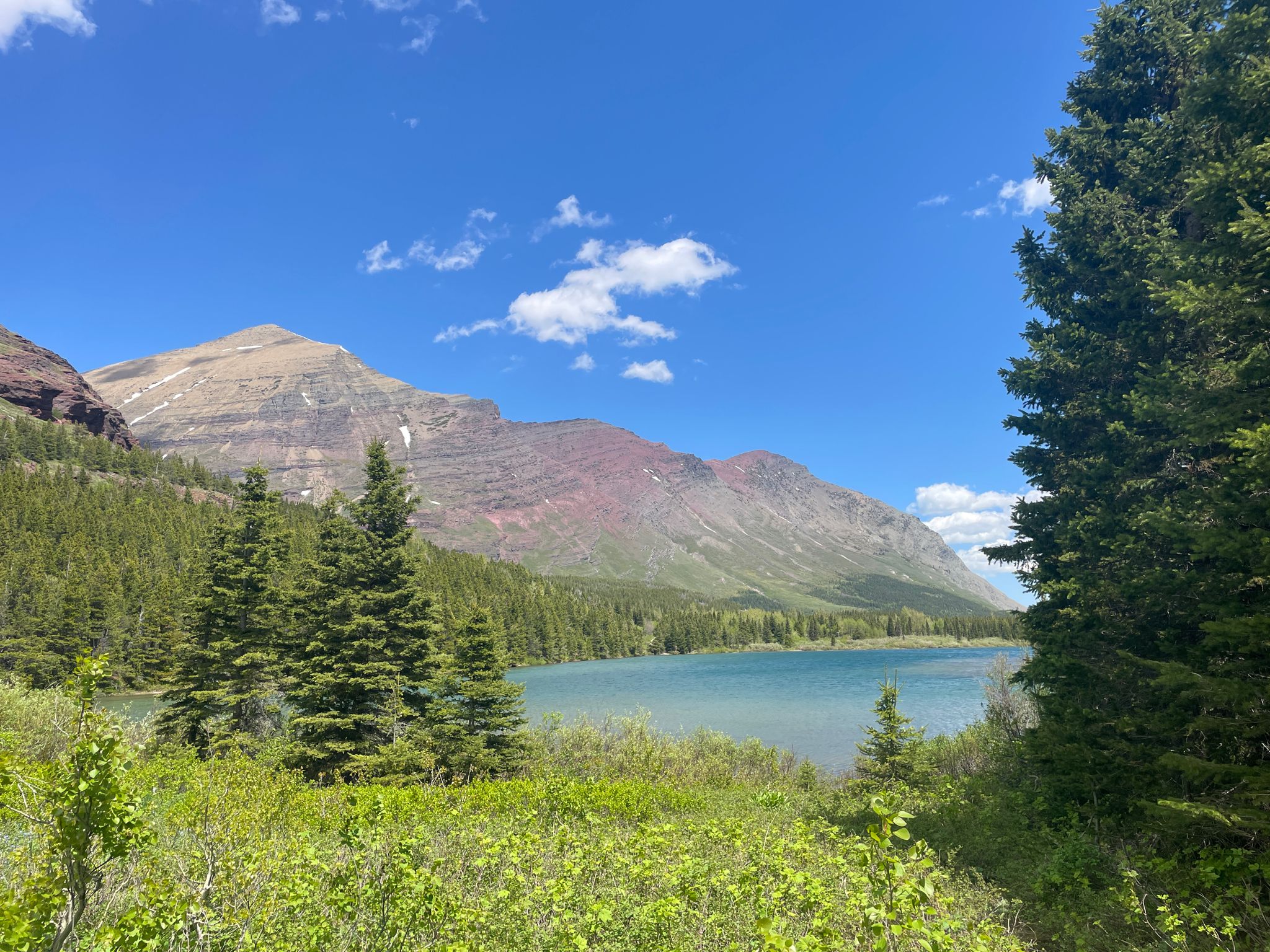 Bright blue lake surrounded by green trees and colorful mountains. - Bullhead Lake via Swiftcurrent Pass Trail