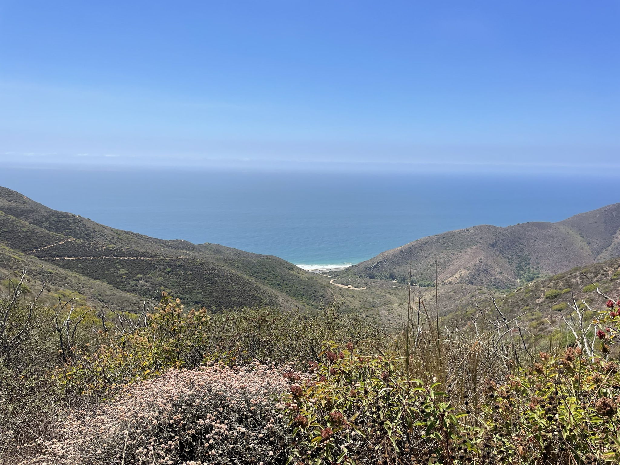 Mountainous coastal landscape with green hills, distant ocean, and clear blue sky. - Ray Miller Backbone Trail to Overlook Trail