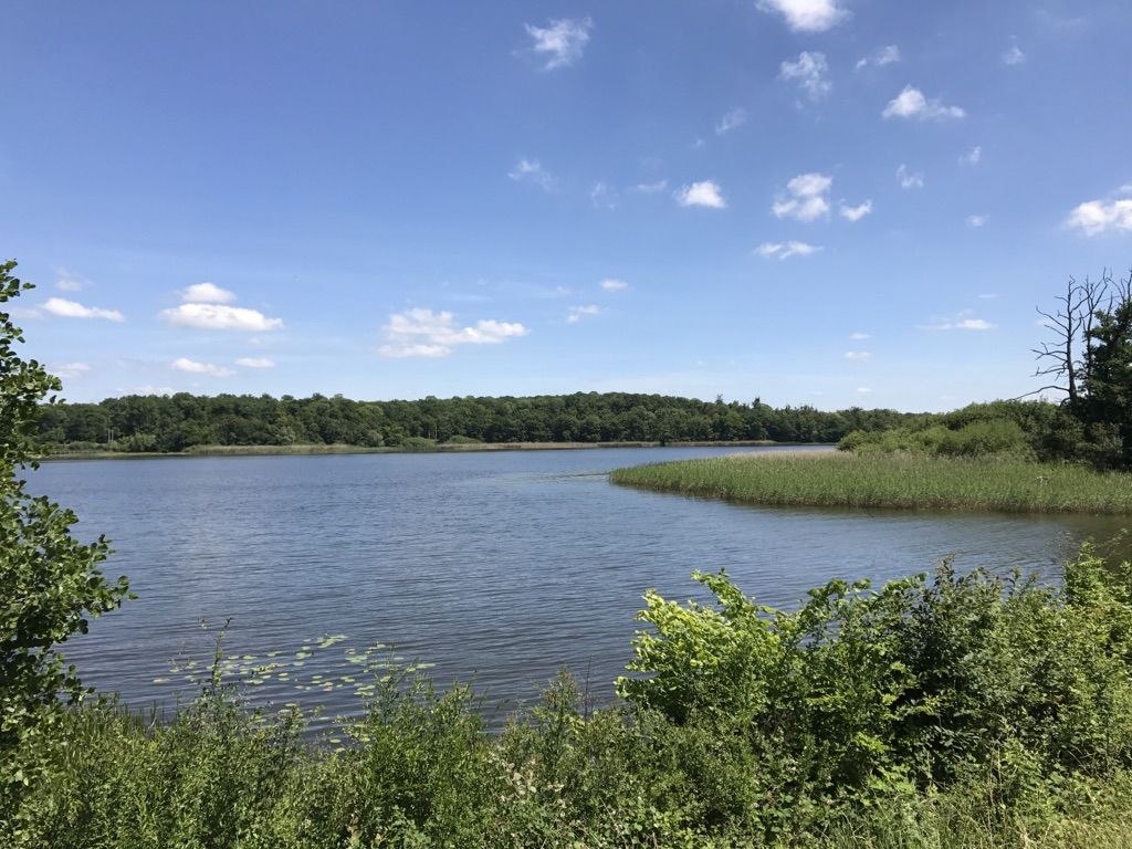 Mittersheimer Weiher