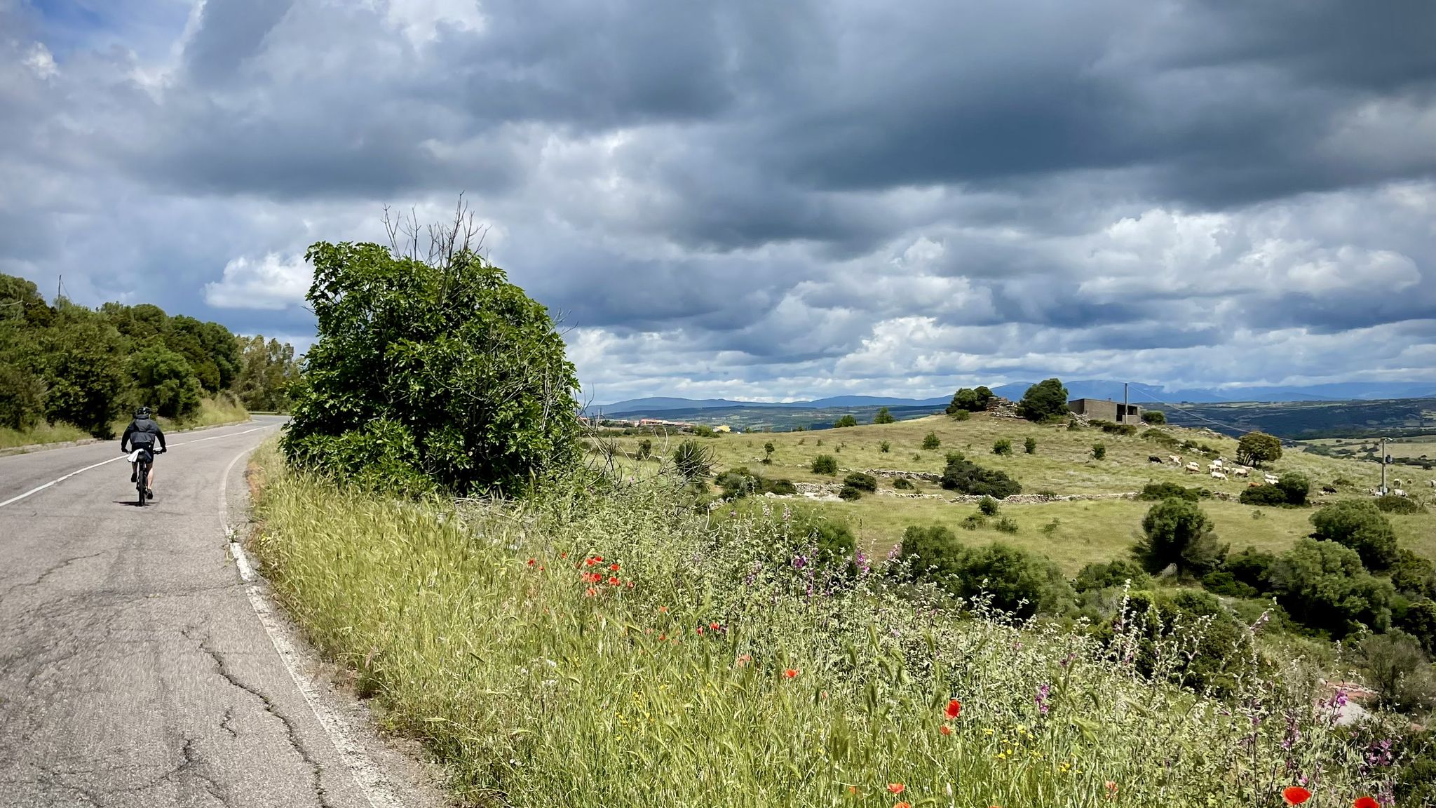 Entspannte Fahrt entlang des Berges mit Blick übers Land.
