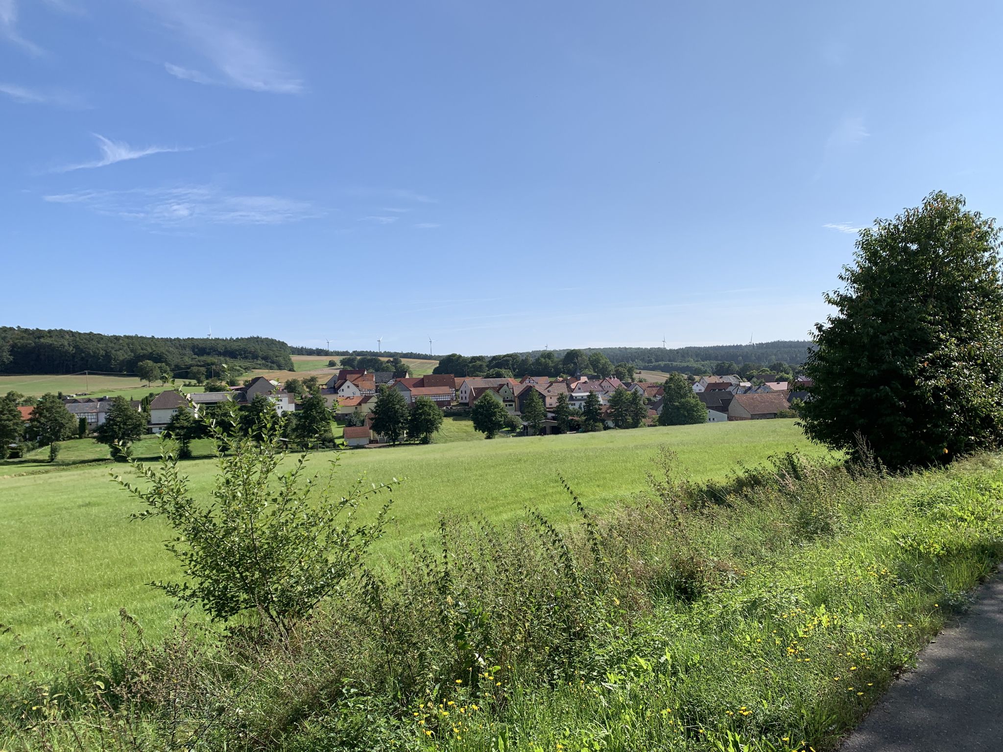 Görzhain