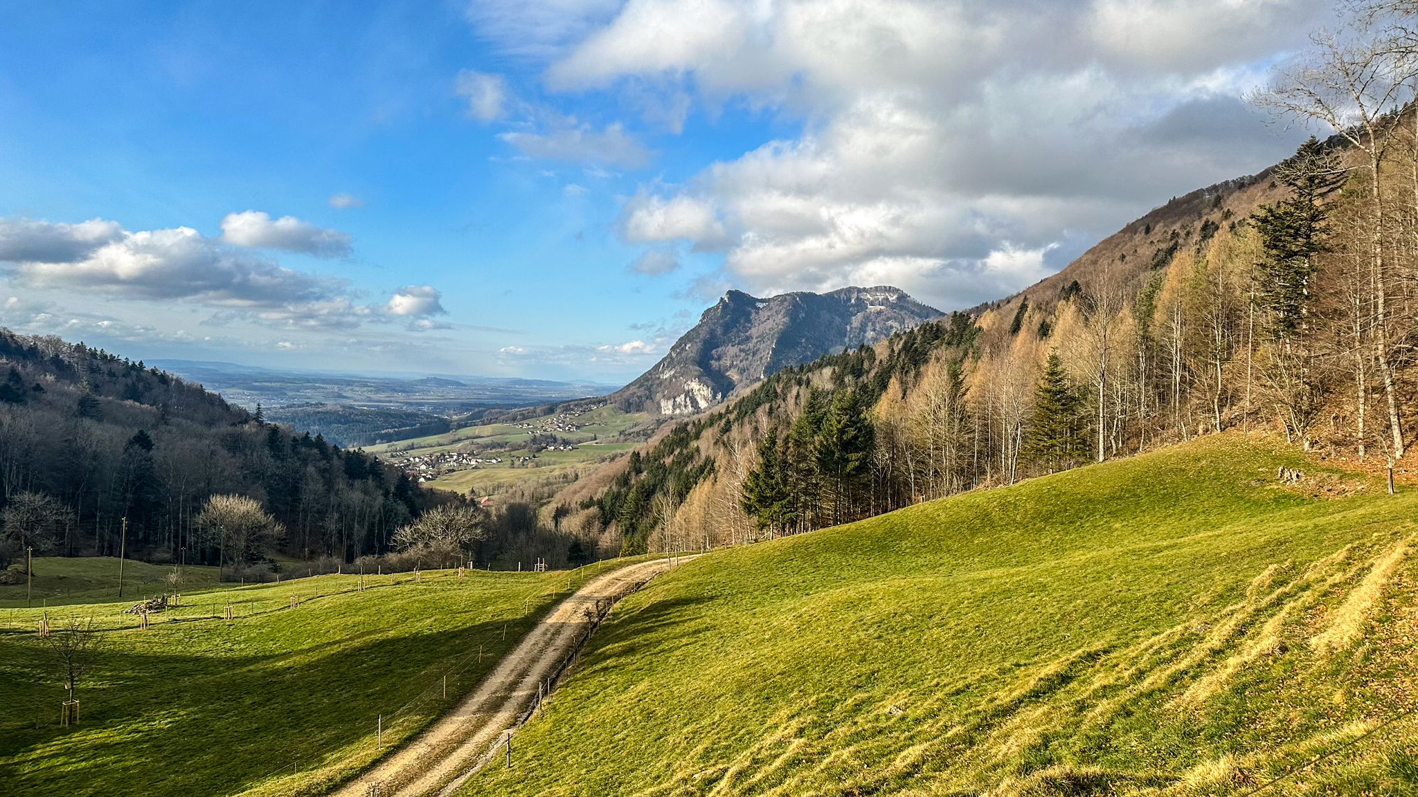 Blick Richtung Balmberg/Weissenstein von Teuffelen aus....