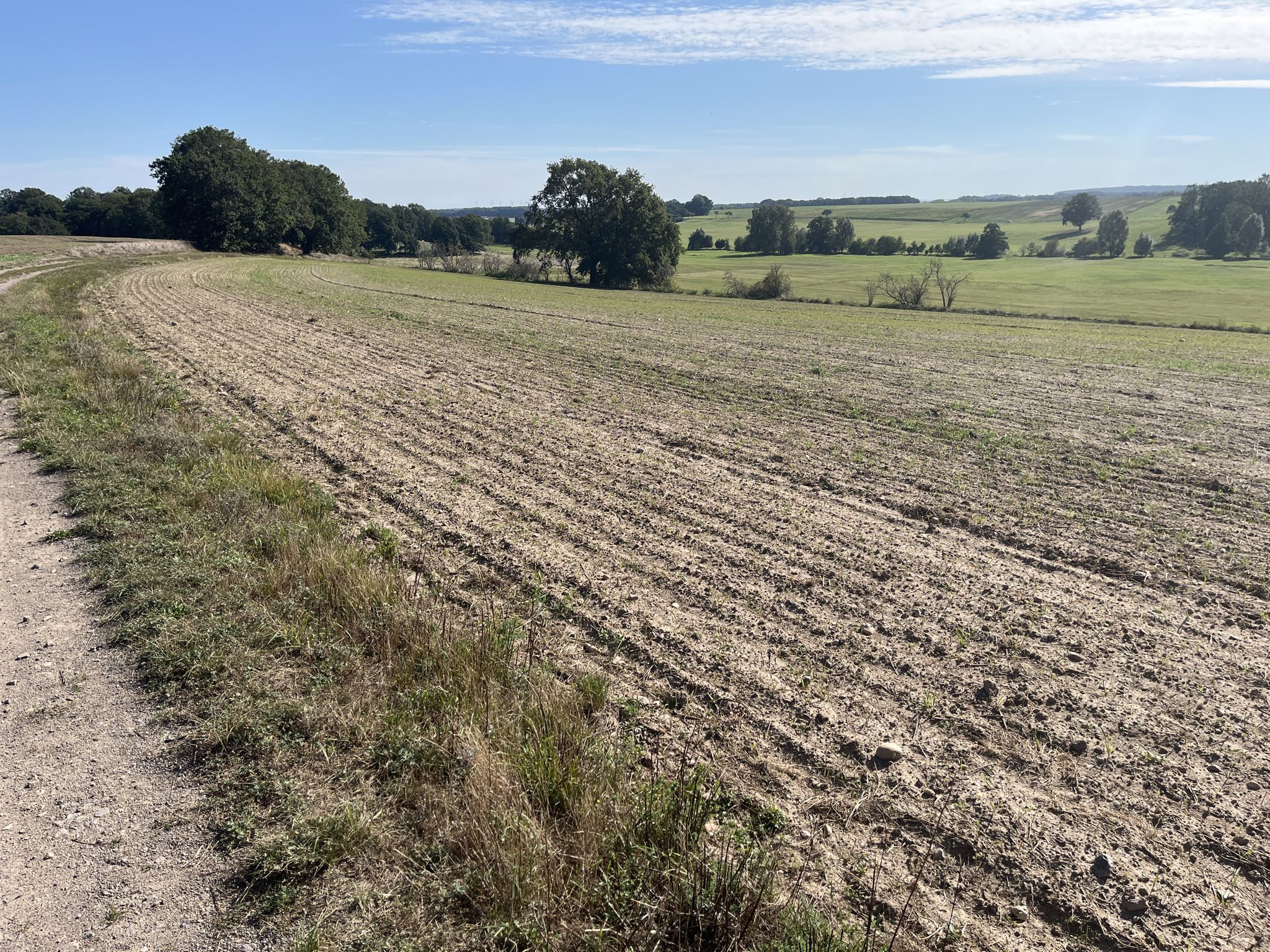 Blicks ins freie Land
