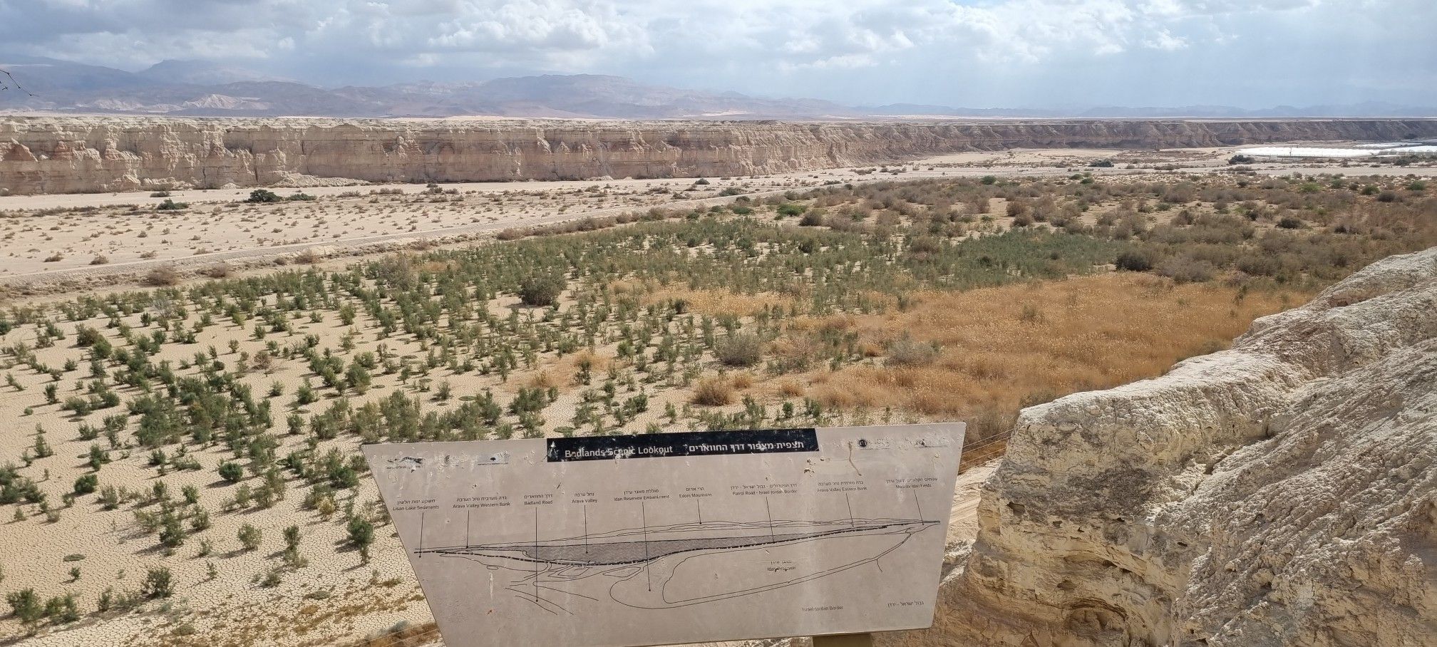 תצפית