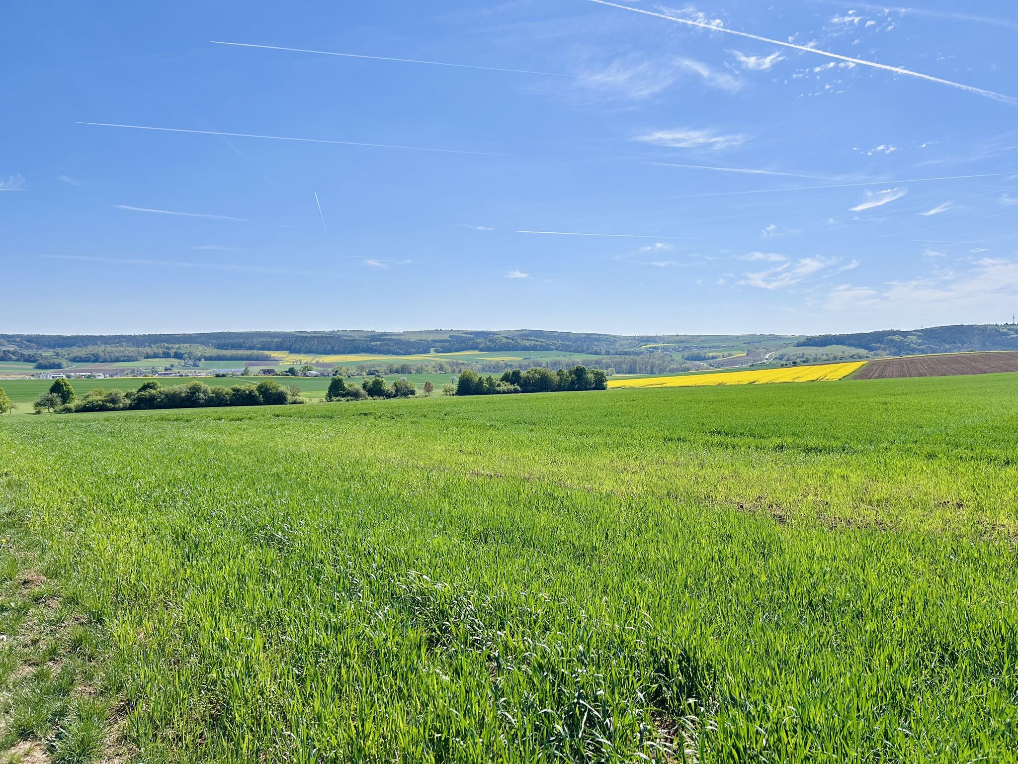 Blick ins Tal der Fränkischen Saale