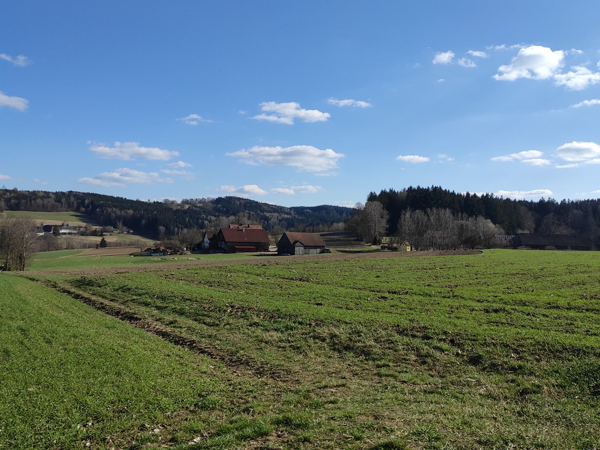 Rückseite Lindauer Wirt
