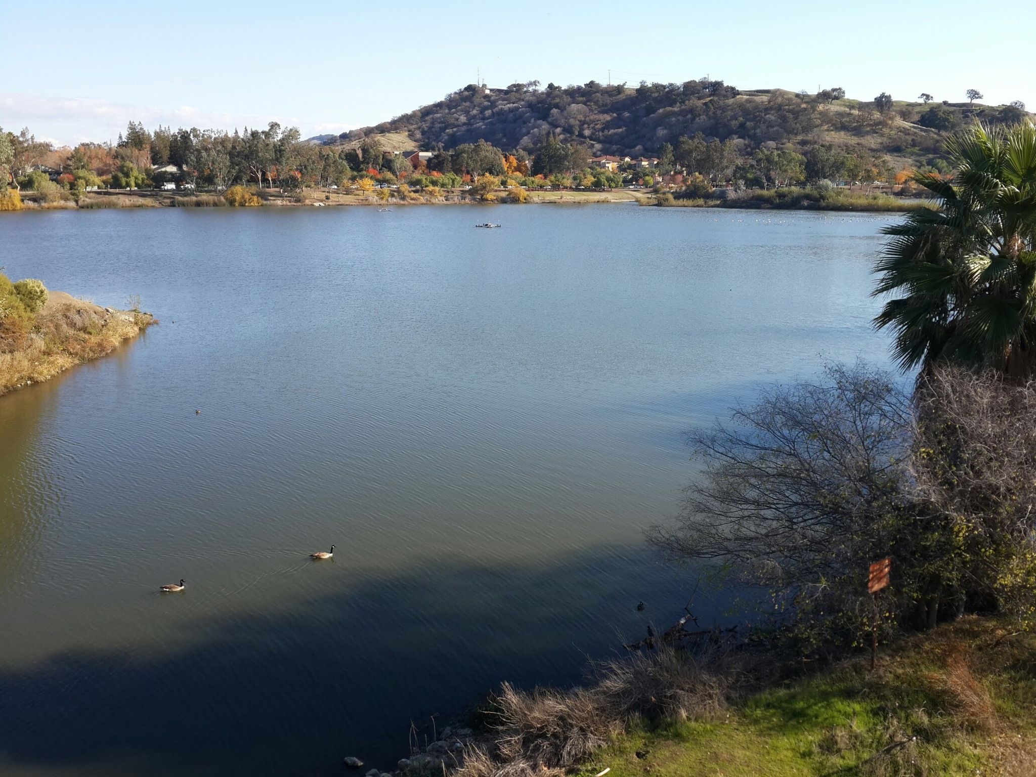 Almaden Lake