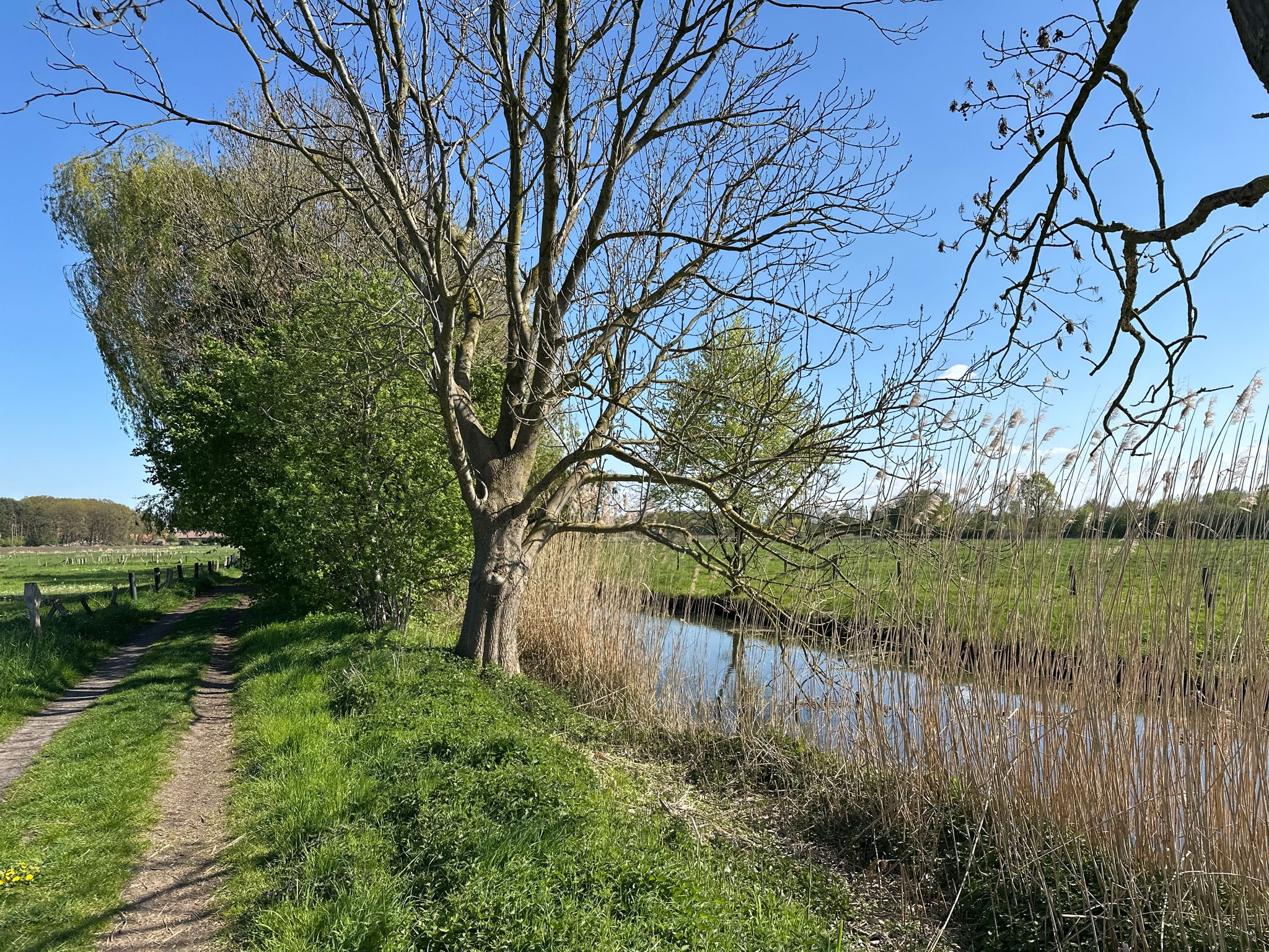 Ein Stück Weg an der Dinkel