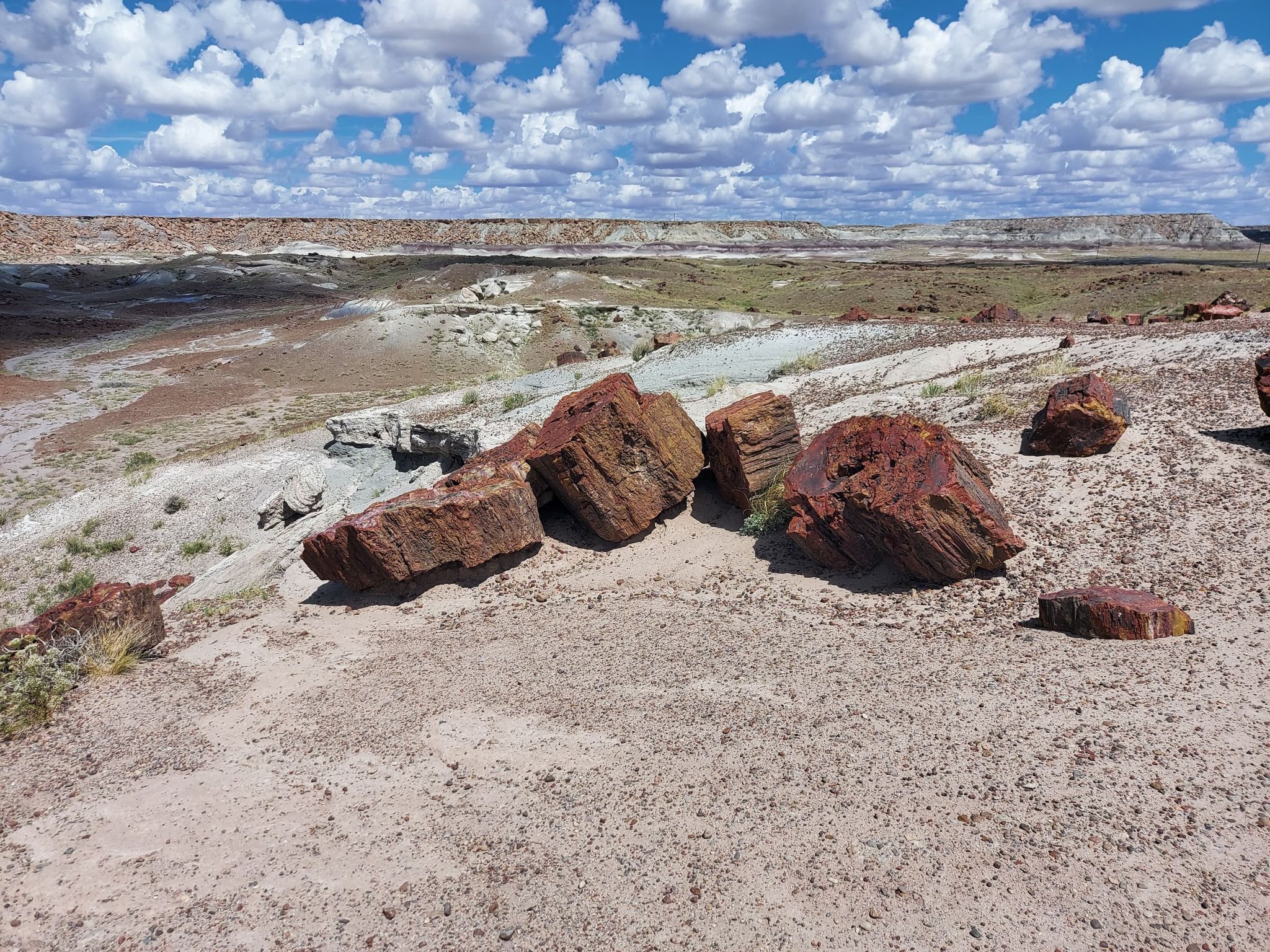 Red petrified wood logs scattered on a desert landscape under a cloudy sky. - Giant Logs Trail