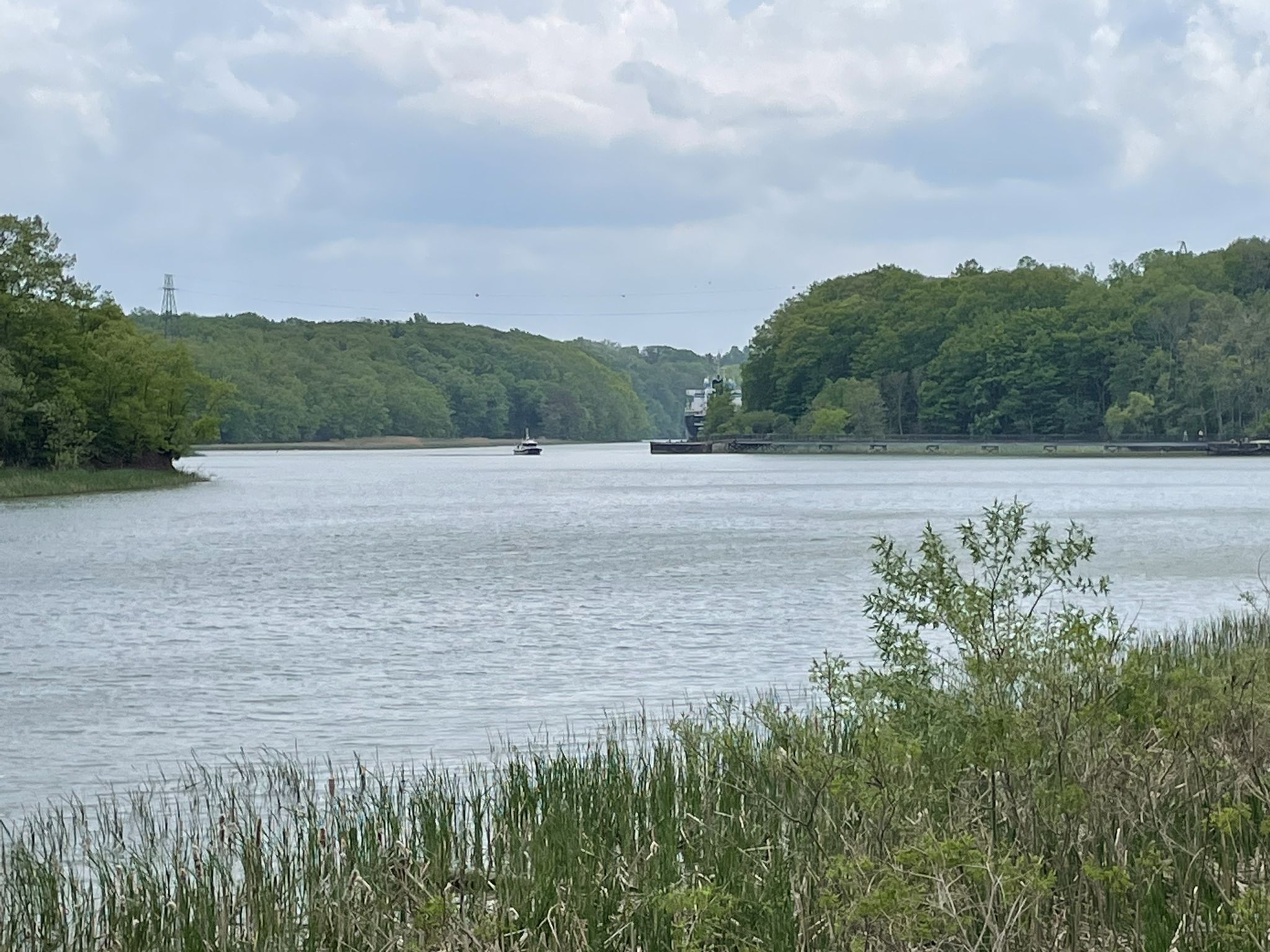 Overcast day over a wide river with forested banks and a distant boat. - Turning Point Park Trail