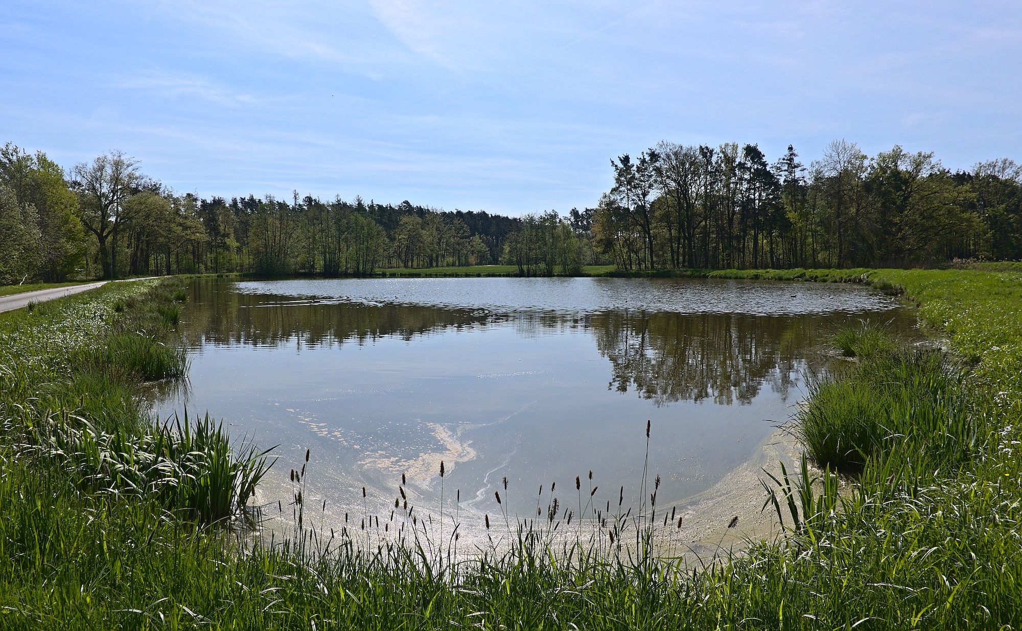 Mohrweiher