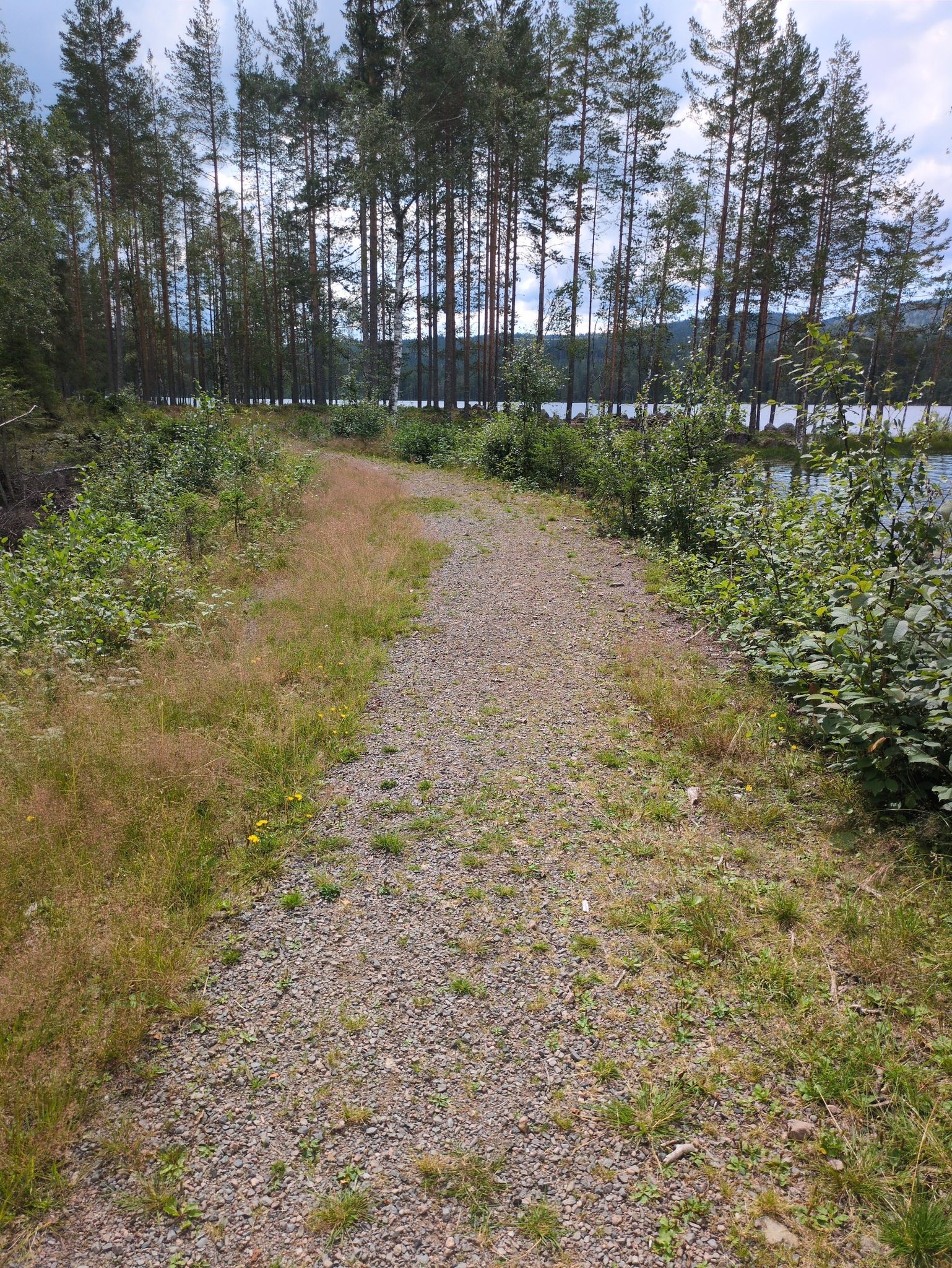 Path