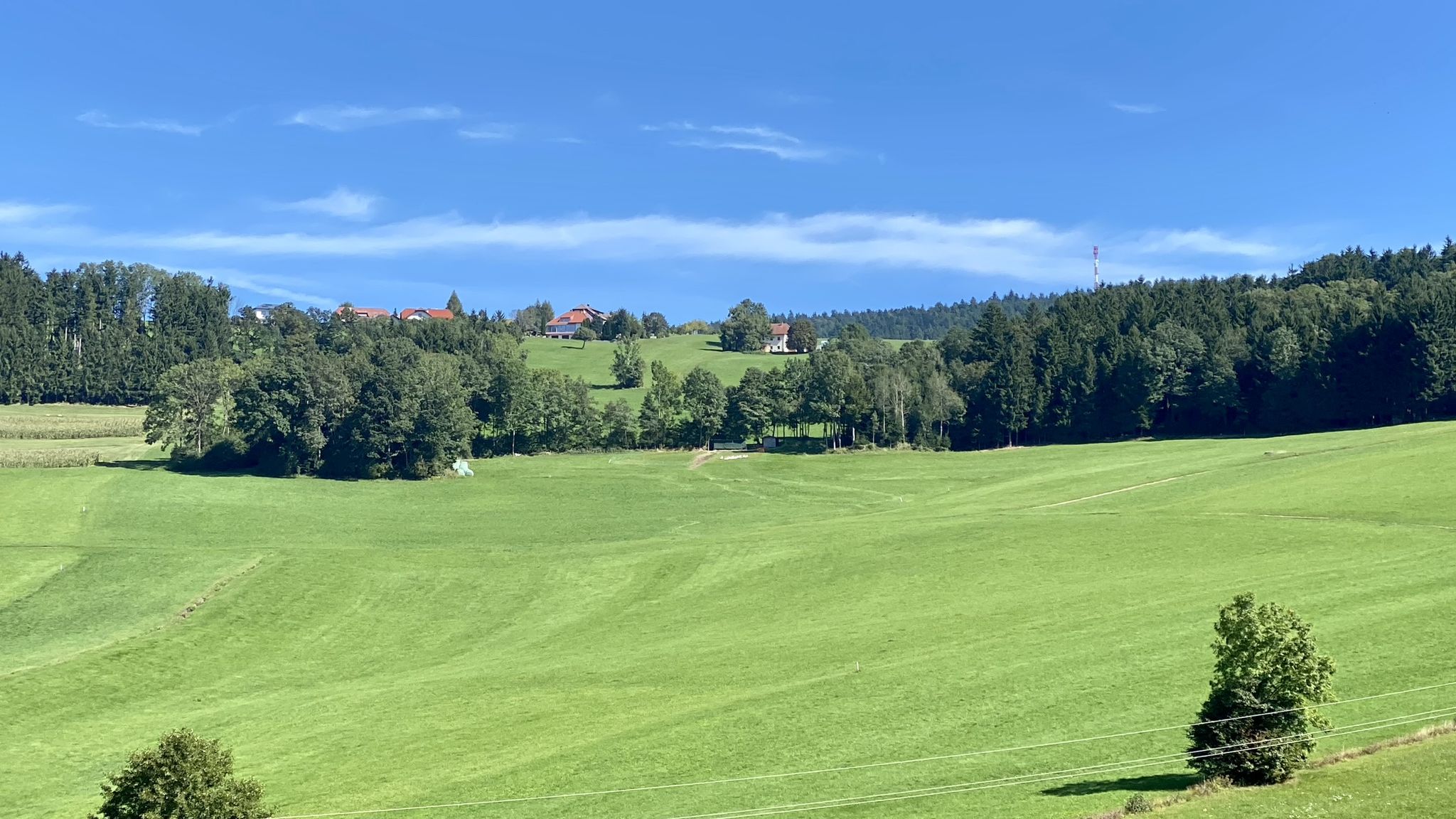 Amesedt / Ameisberg