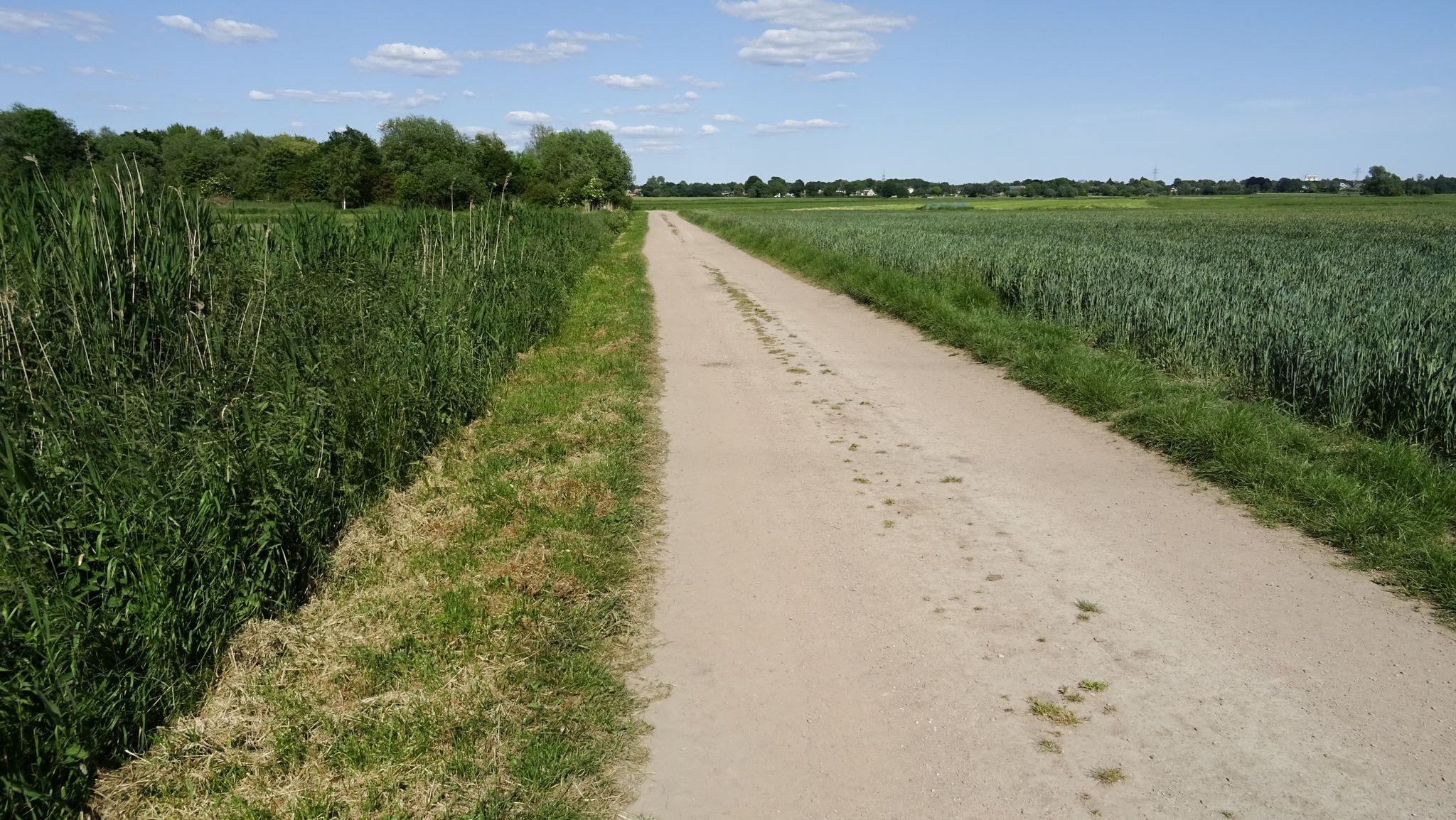 Kahlkes Weg