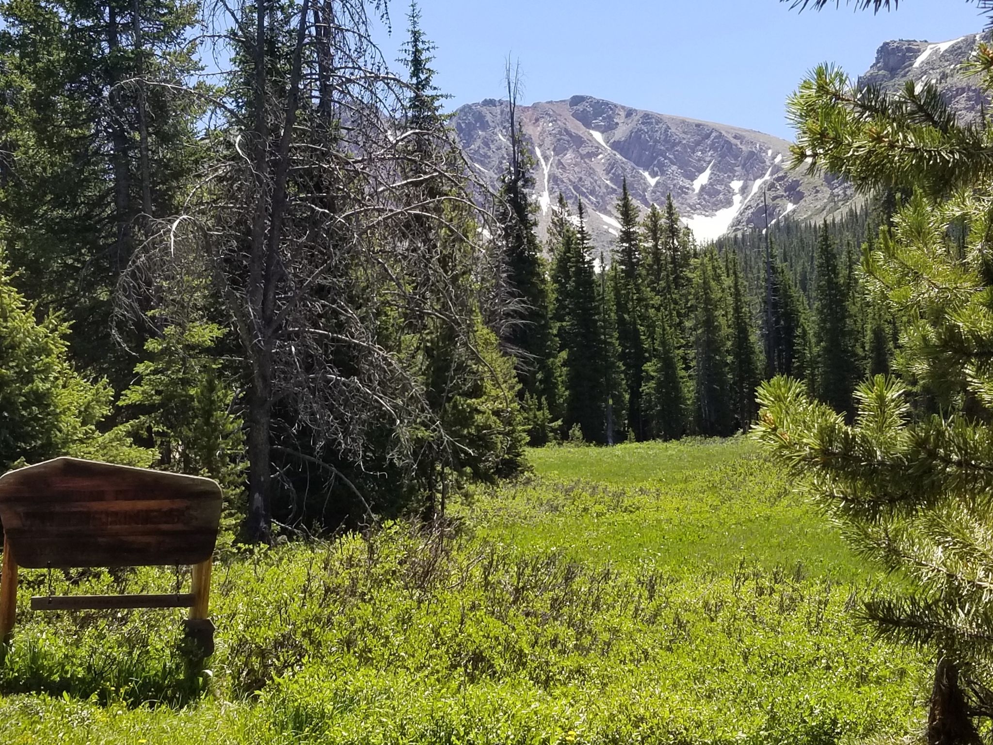 Wooden sign in a sunny green meadow, backed by forest and snowy mountains. - Columbine Lake Trail