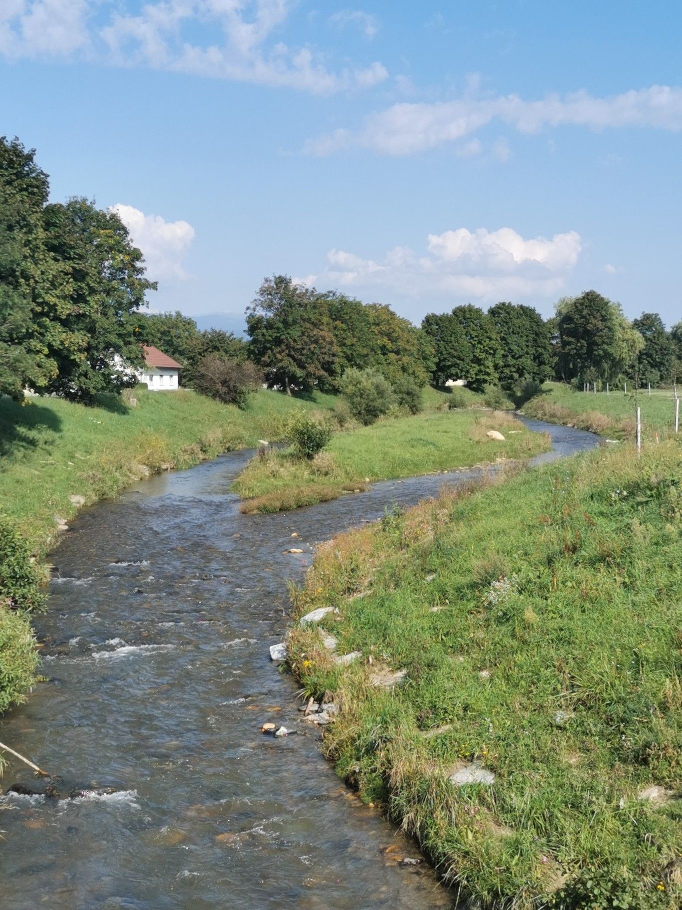Pinka bei Riedlingsdorf