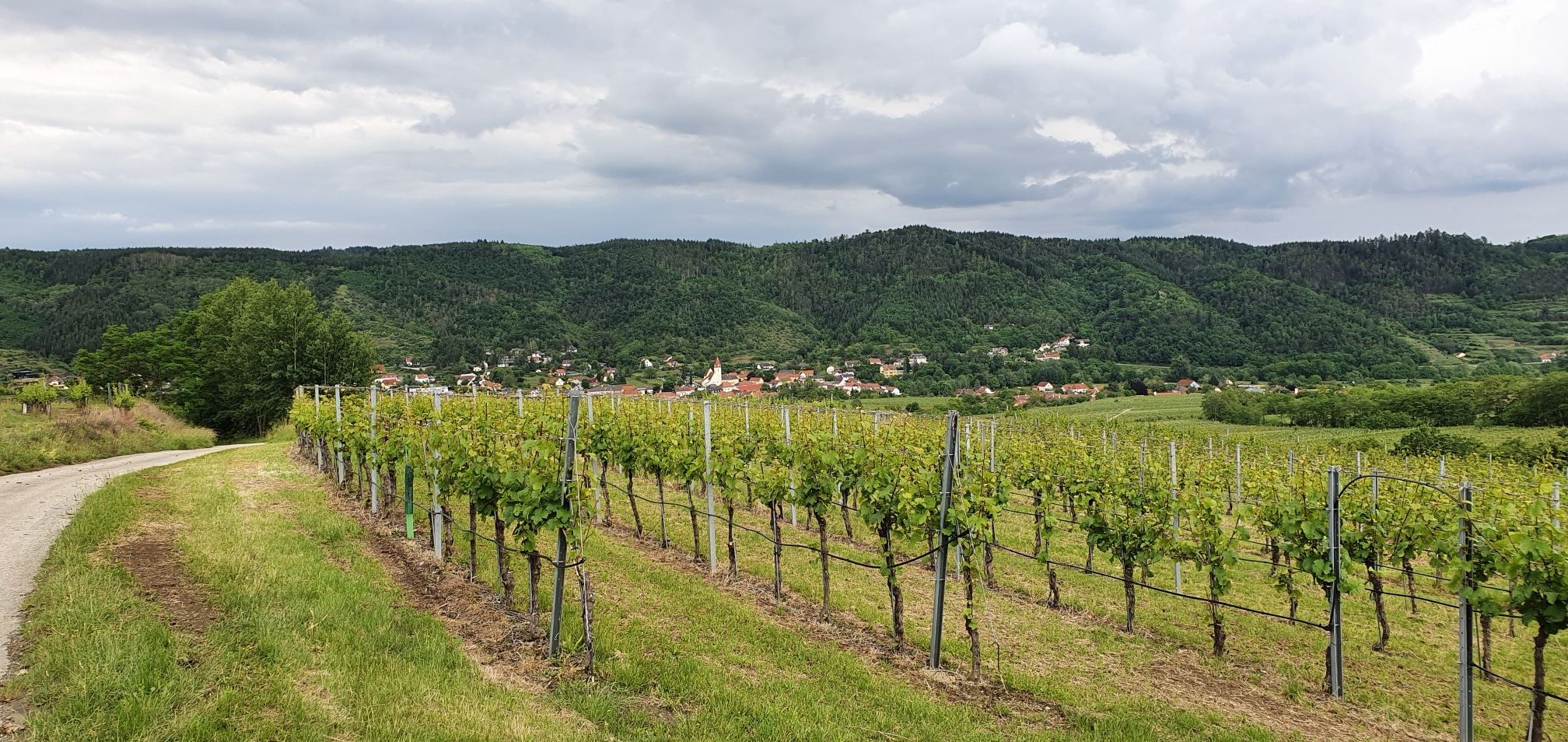 Schönberg