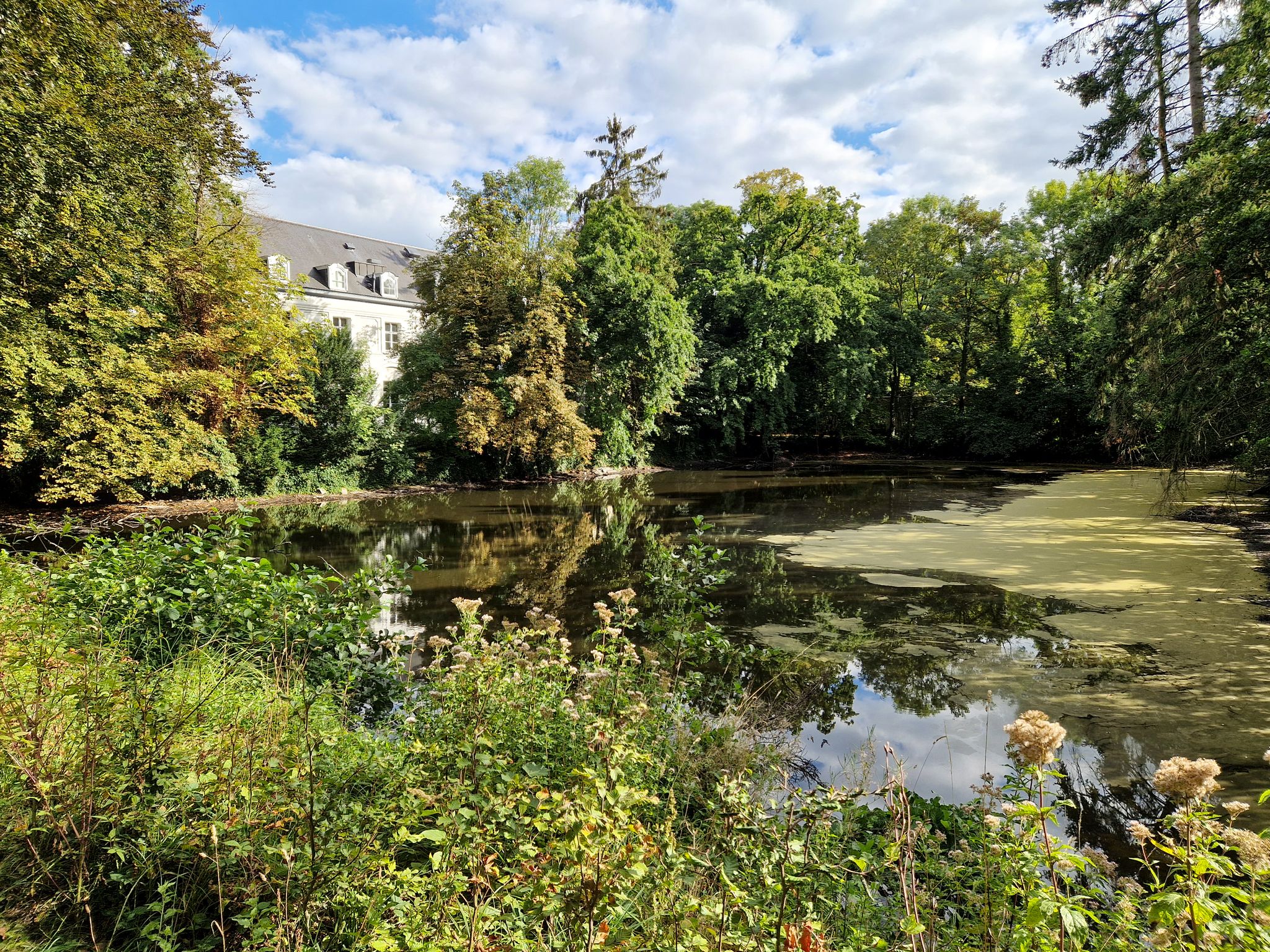 Zicht op een deel van het uitgestrekte park van Kasteel Mariahove