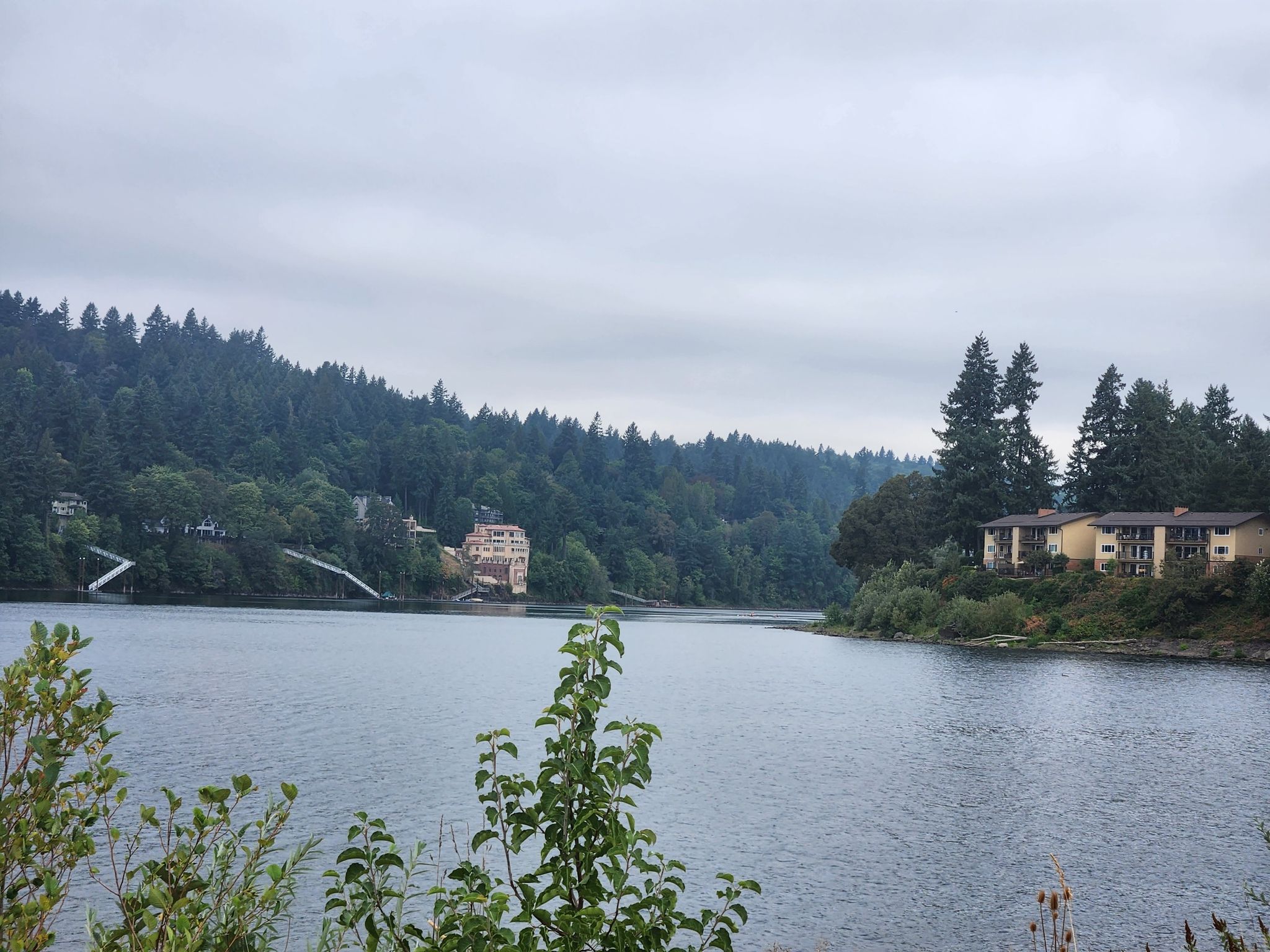 Wide river with forested banks and buildings under an overcast sky. - Trolley Trail