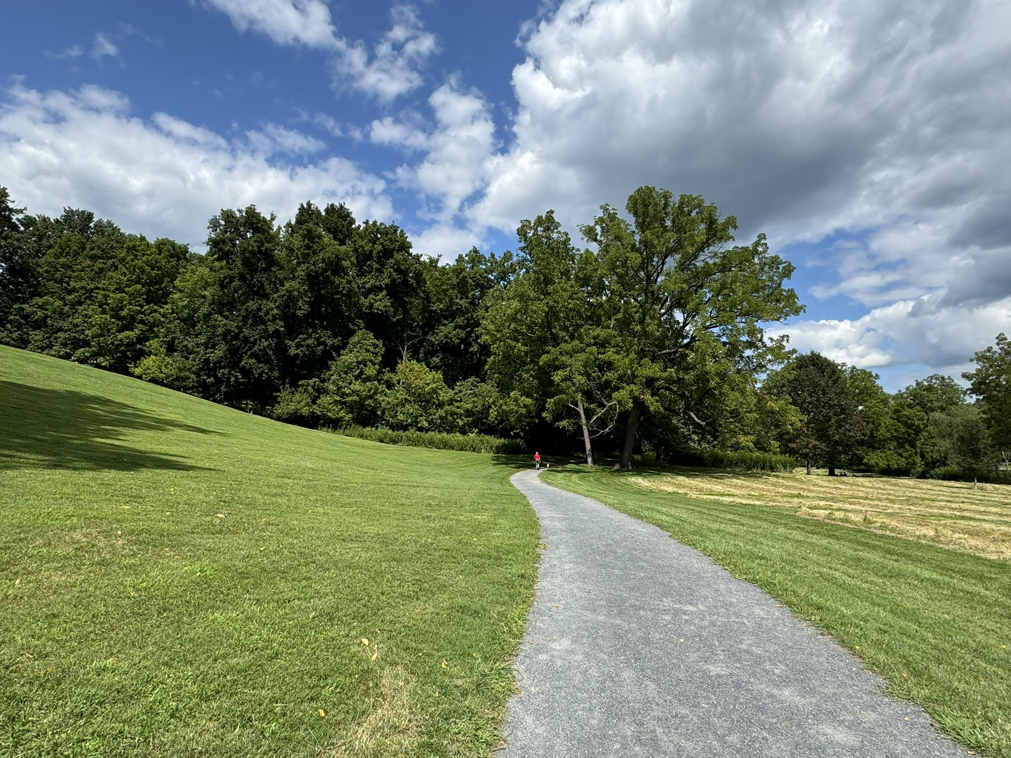 A paved path curves through a green field with dense trees under a bright sky. - Sherwood Forest, Bones, and North Side Path Trail Loop