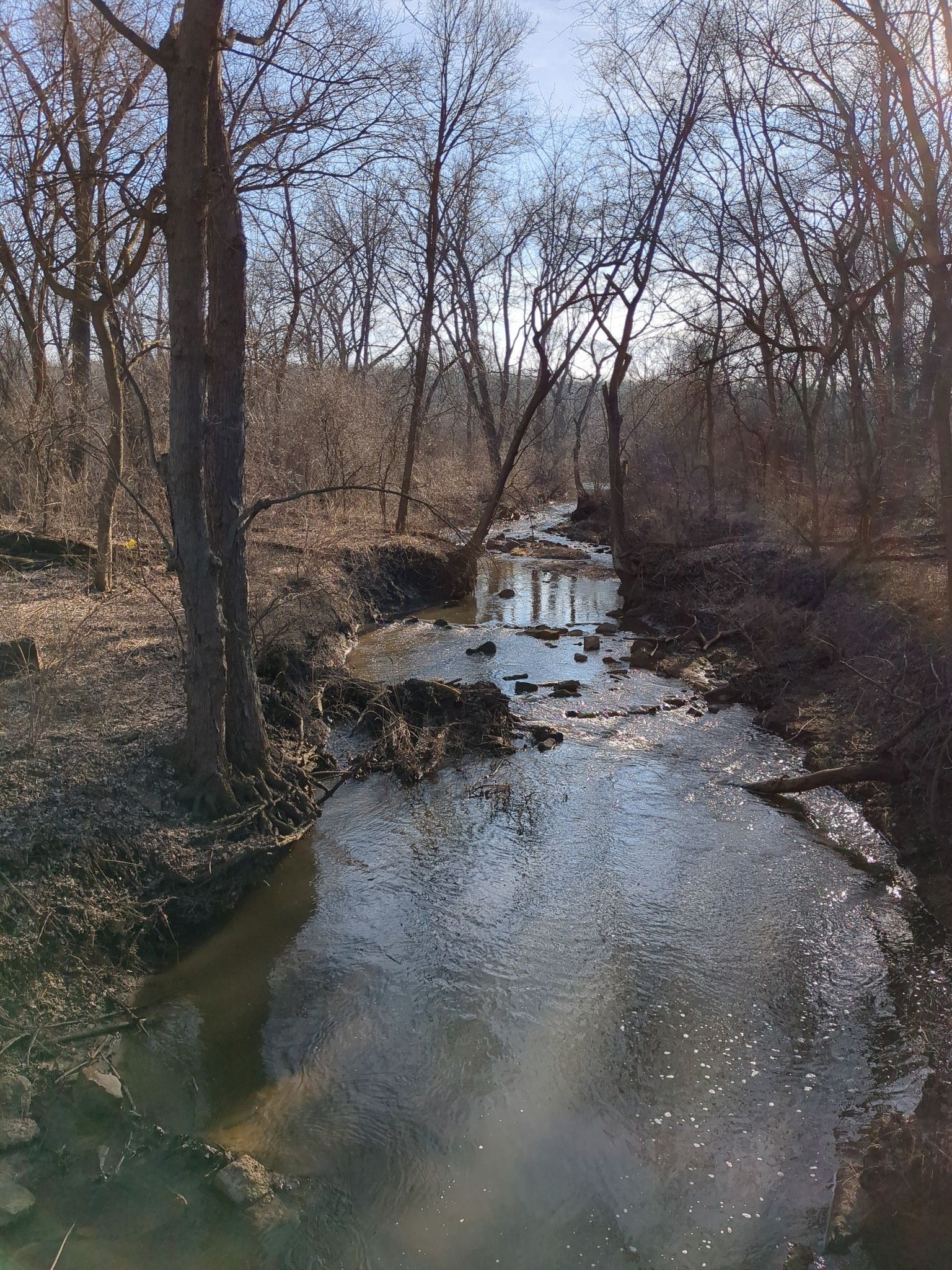 A narrow stream winding through a bare winter forest, reflecting the sky. - Cal-Sag Channel loop from Palos Hills