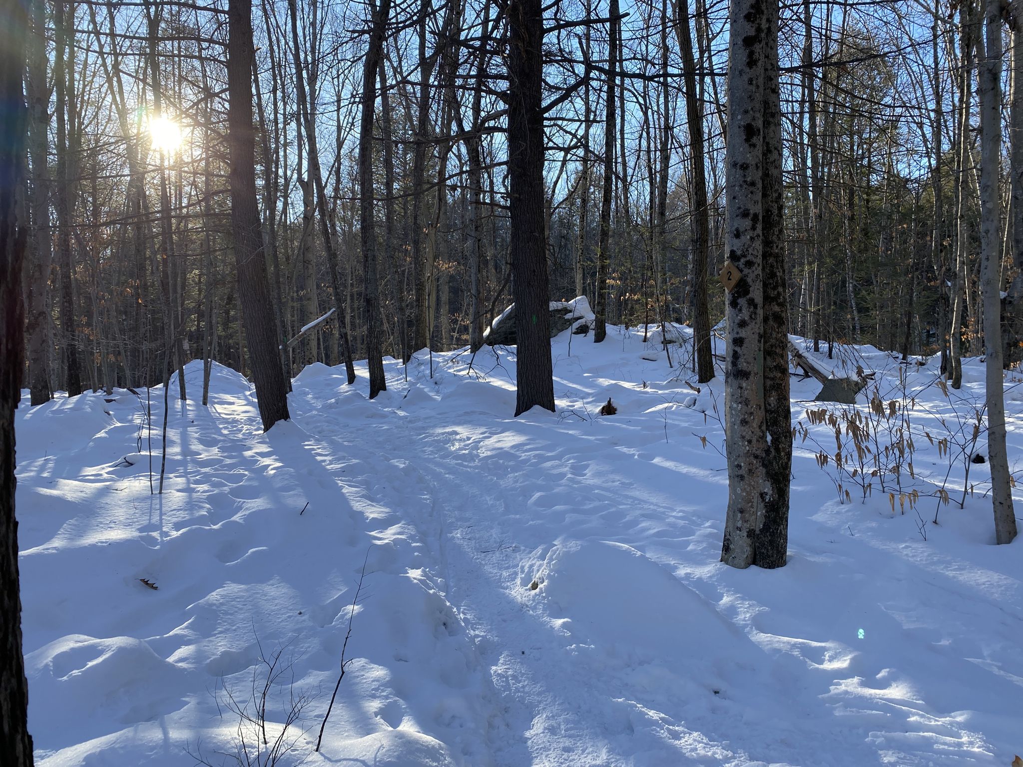 Bright sun shines on a snowy forest path with long shadows and bare trees. - Henderson-Swasey Green Loop Trail