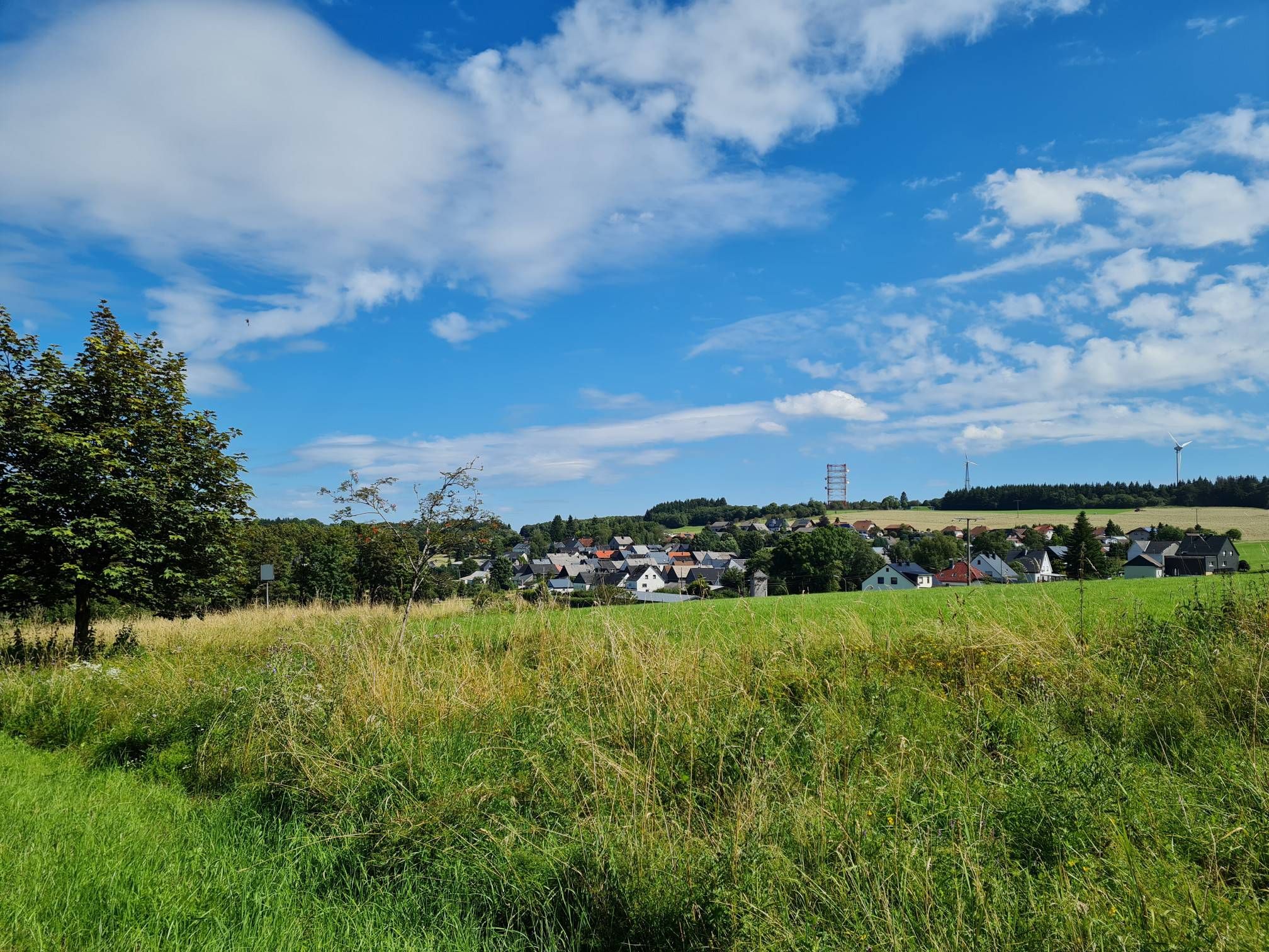 Stein-Neukirch