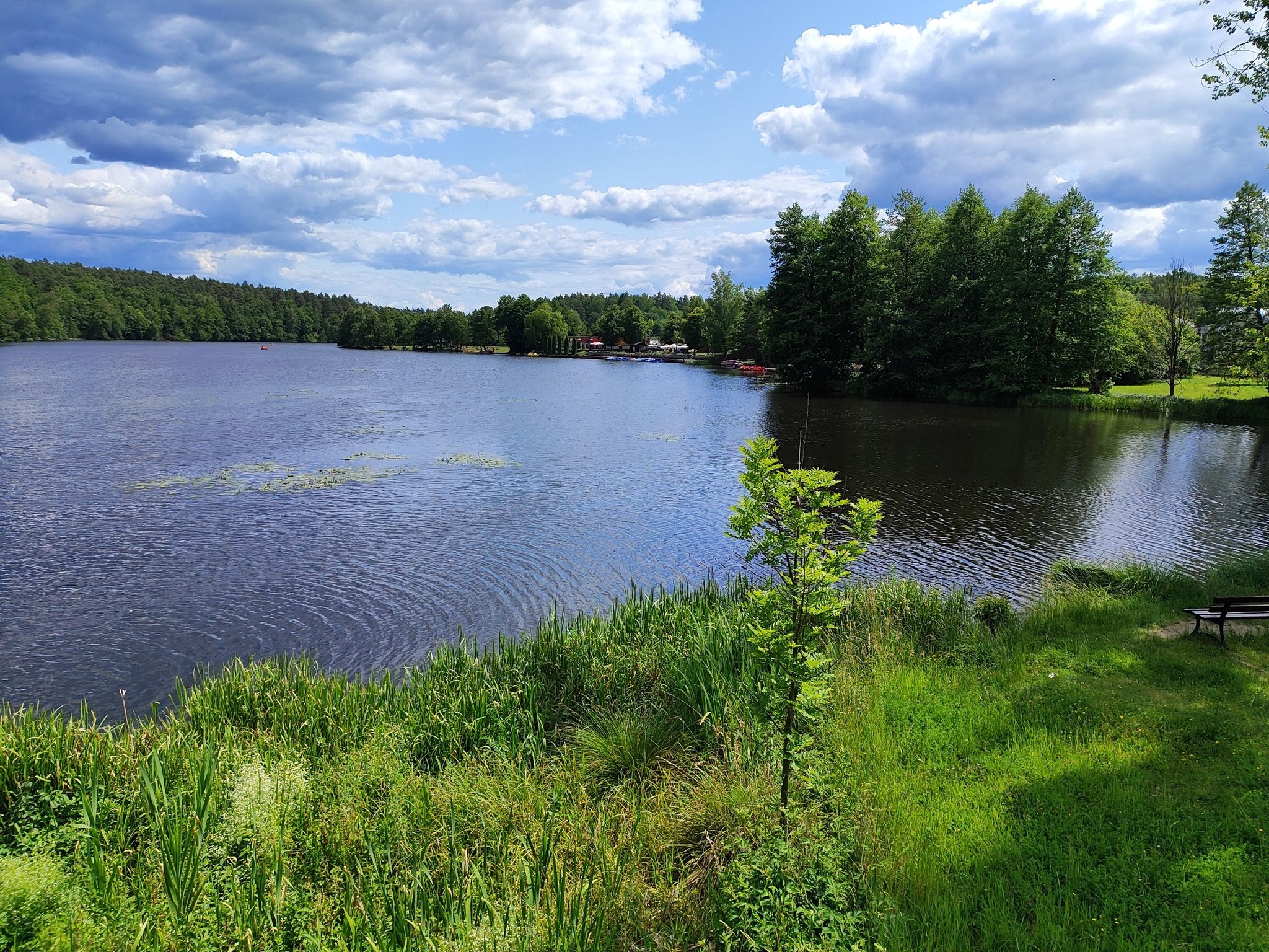Tleń