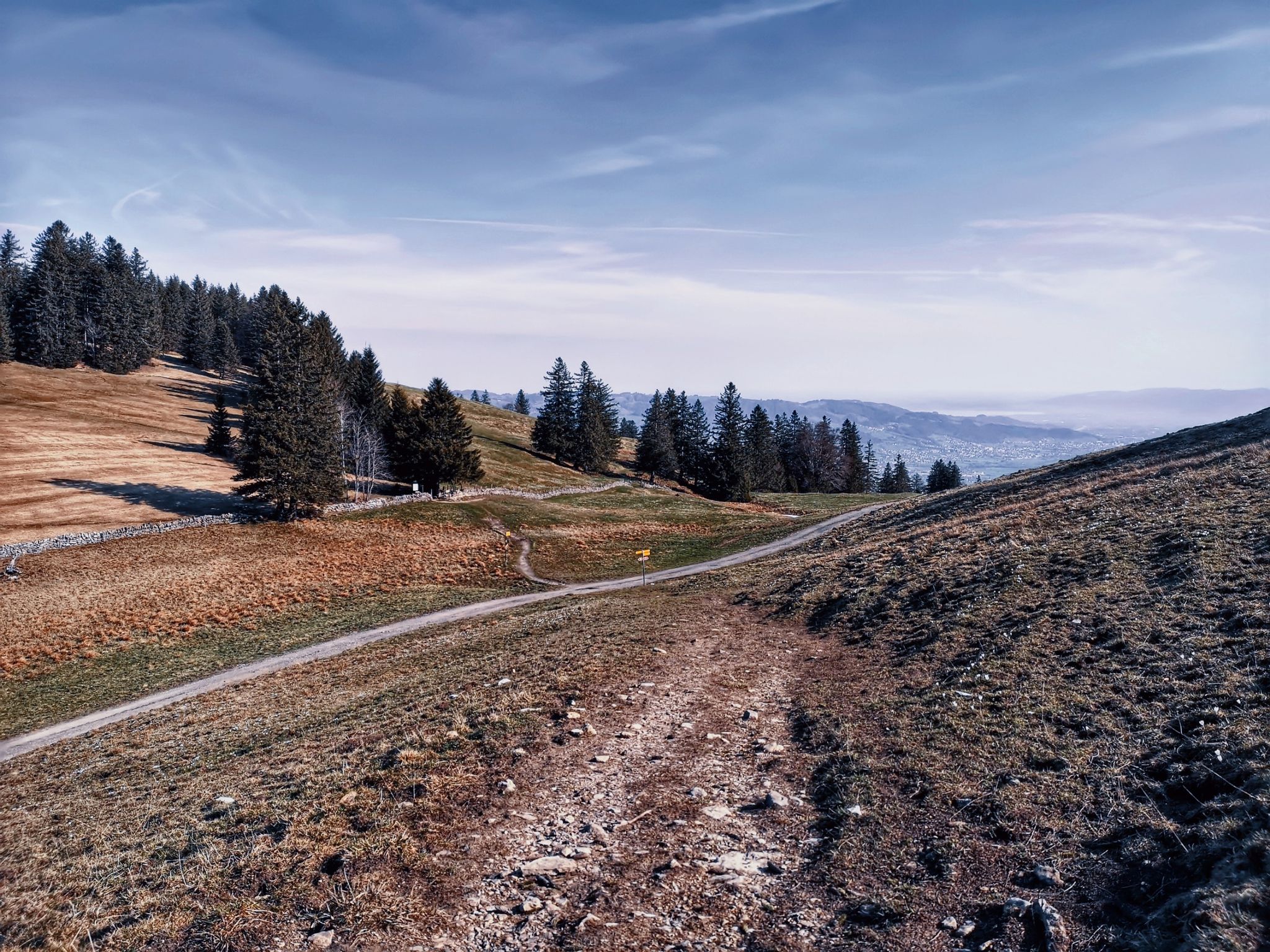 ab der Wegkreuzung Zapfen geht's nun in stetiger Steigung hoch auf den Kamor