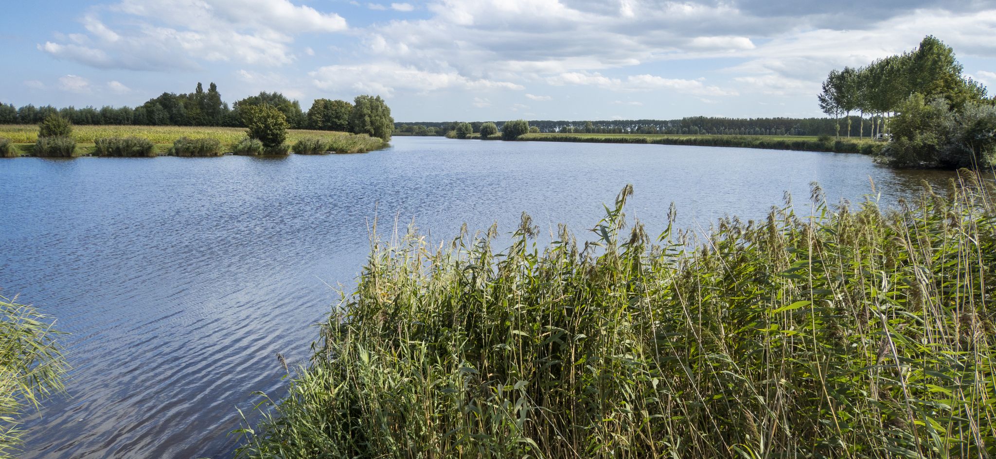 Blokkreek