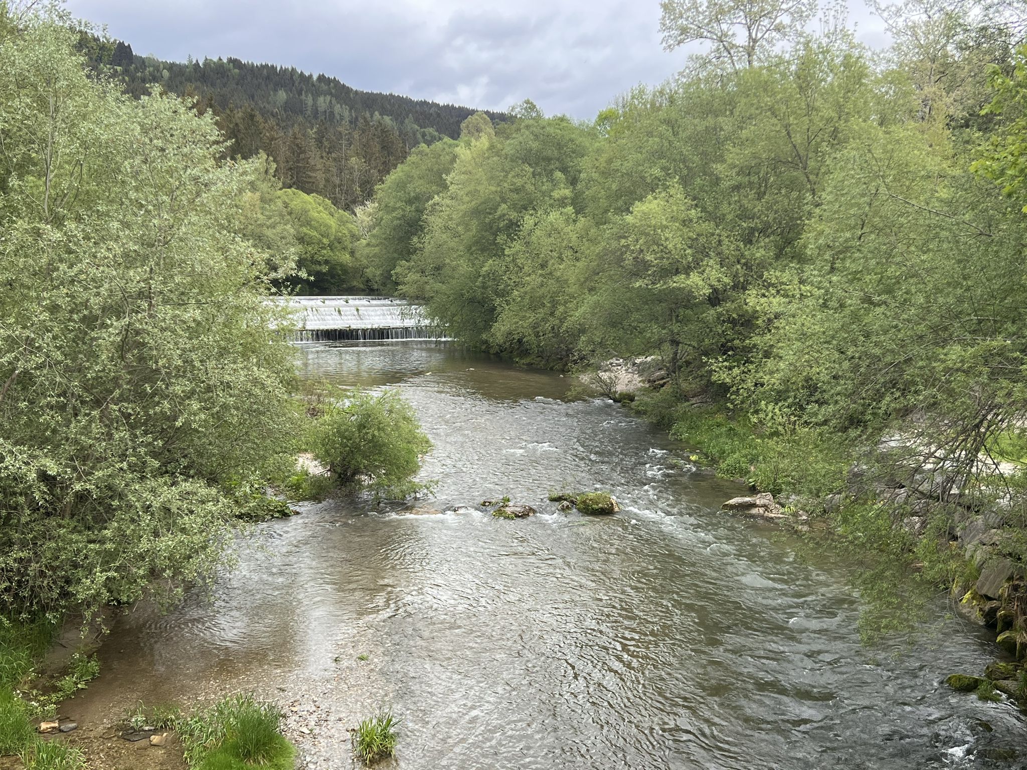 Mürz