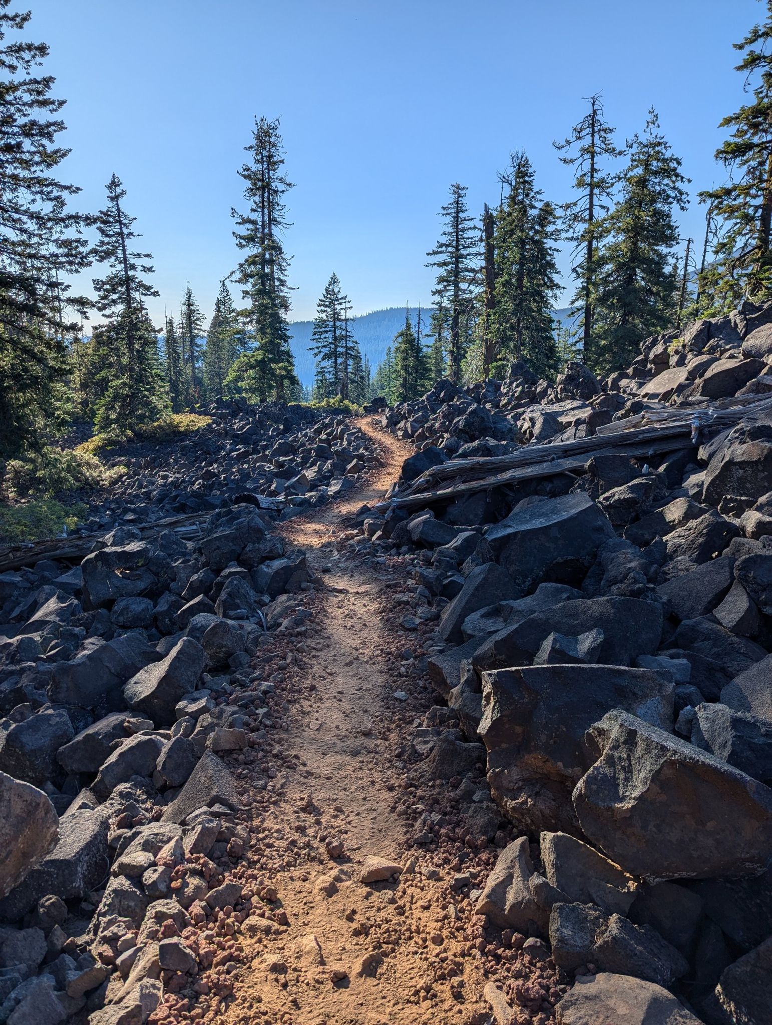 A dirt path winds through a rocky, forested landscape under a clear sky. - Brown Mountain Trail