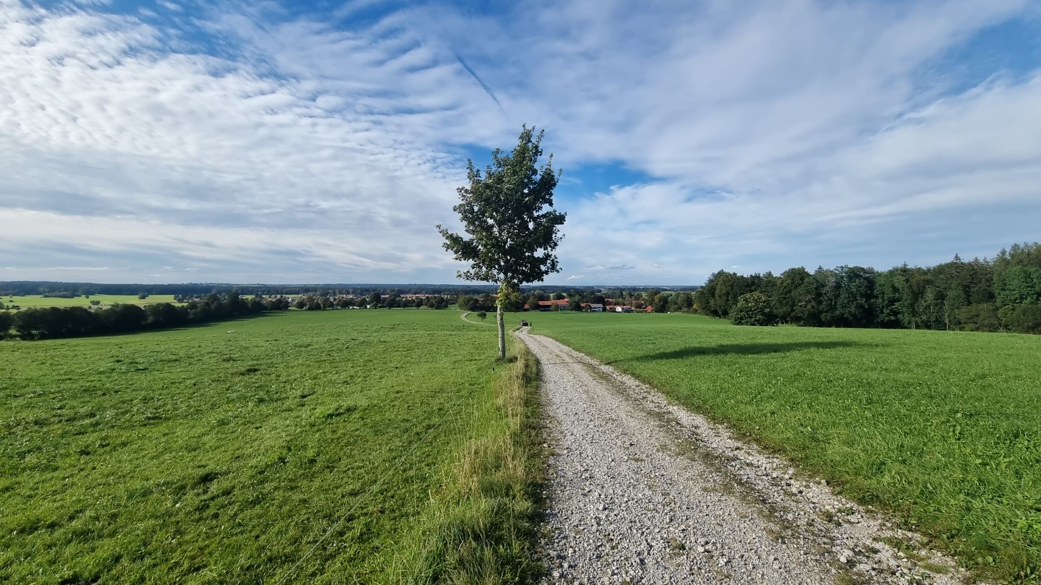 ... in unsere Richtung weiterhin weiß-blau