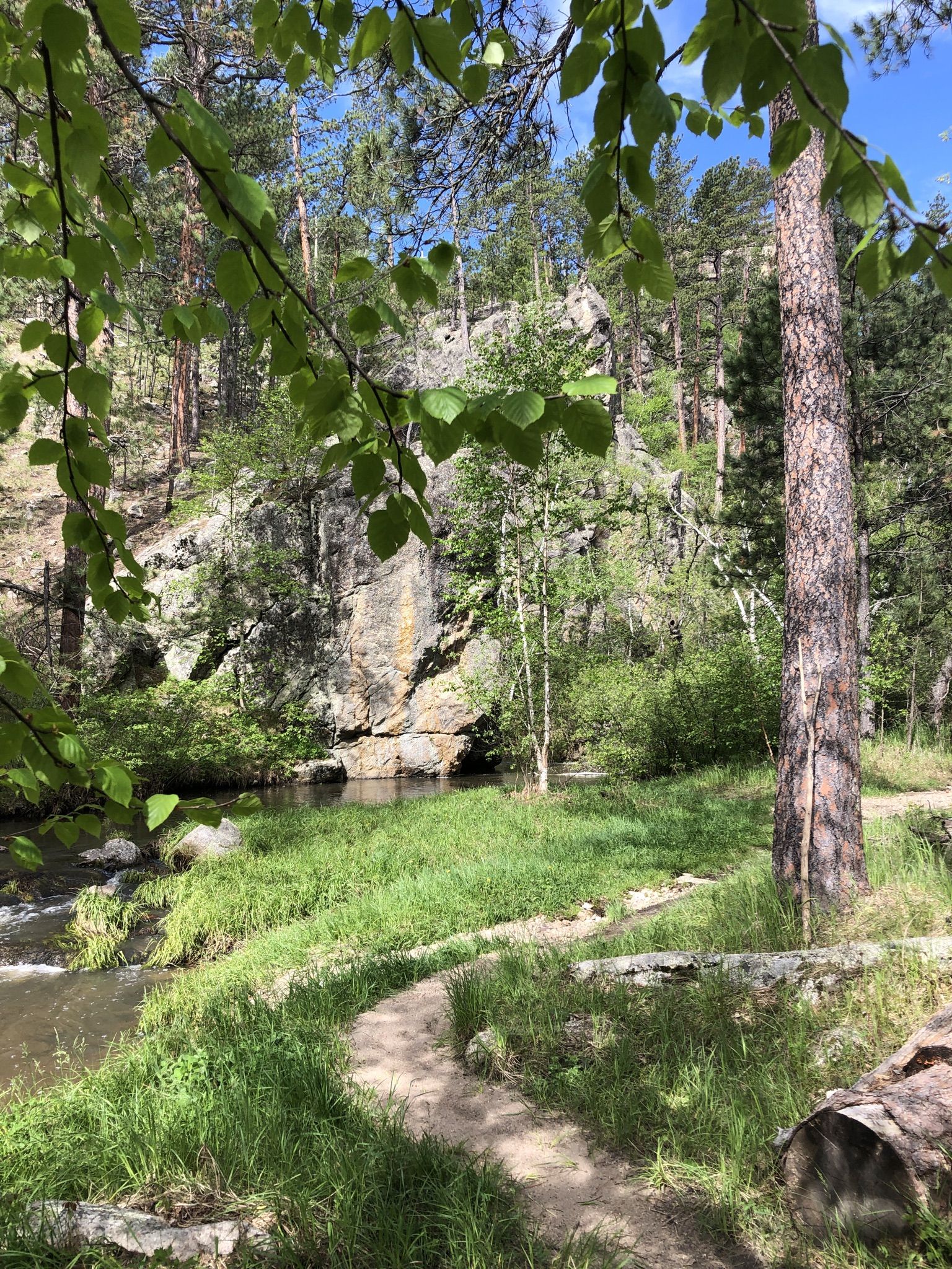 Sunny path by a stream, rocky cliffs, and green trees. - Grace Coolidge Trail