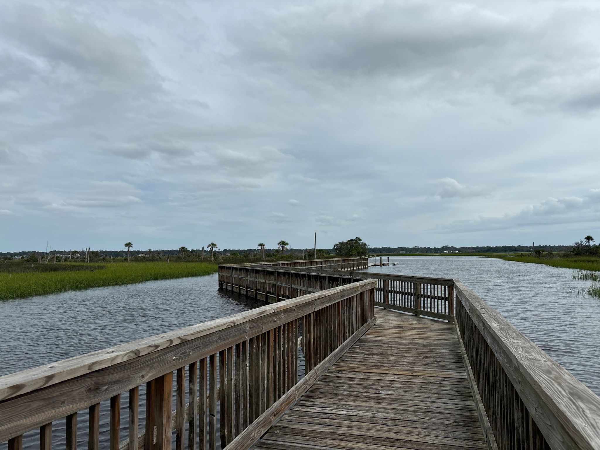 A wooden boardwalk curves over dark water, surrounded by green marshland under a cloudy sky. - Island Trail