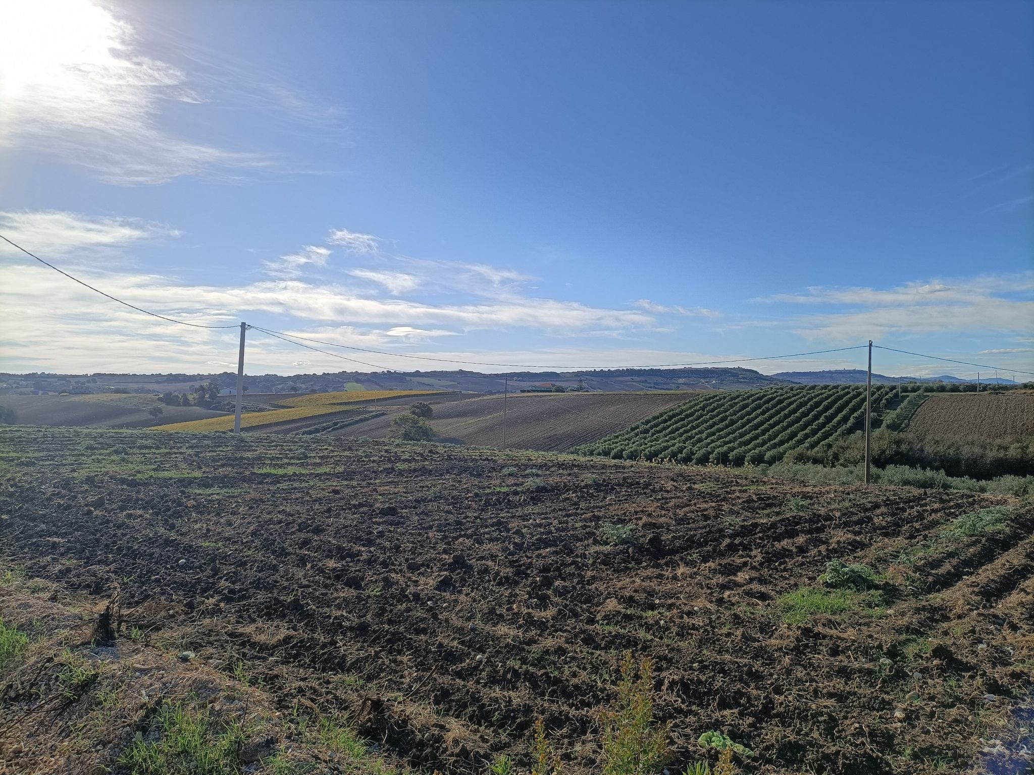 le colline sopra termoli